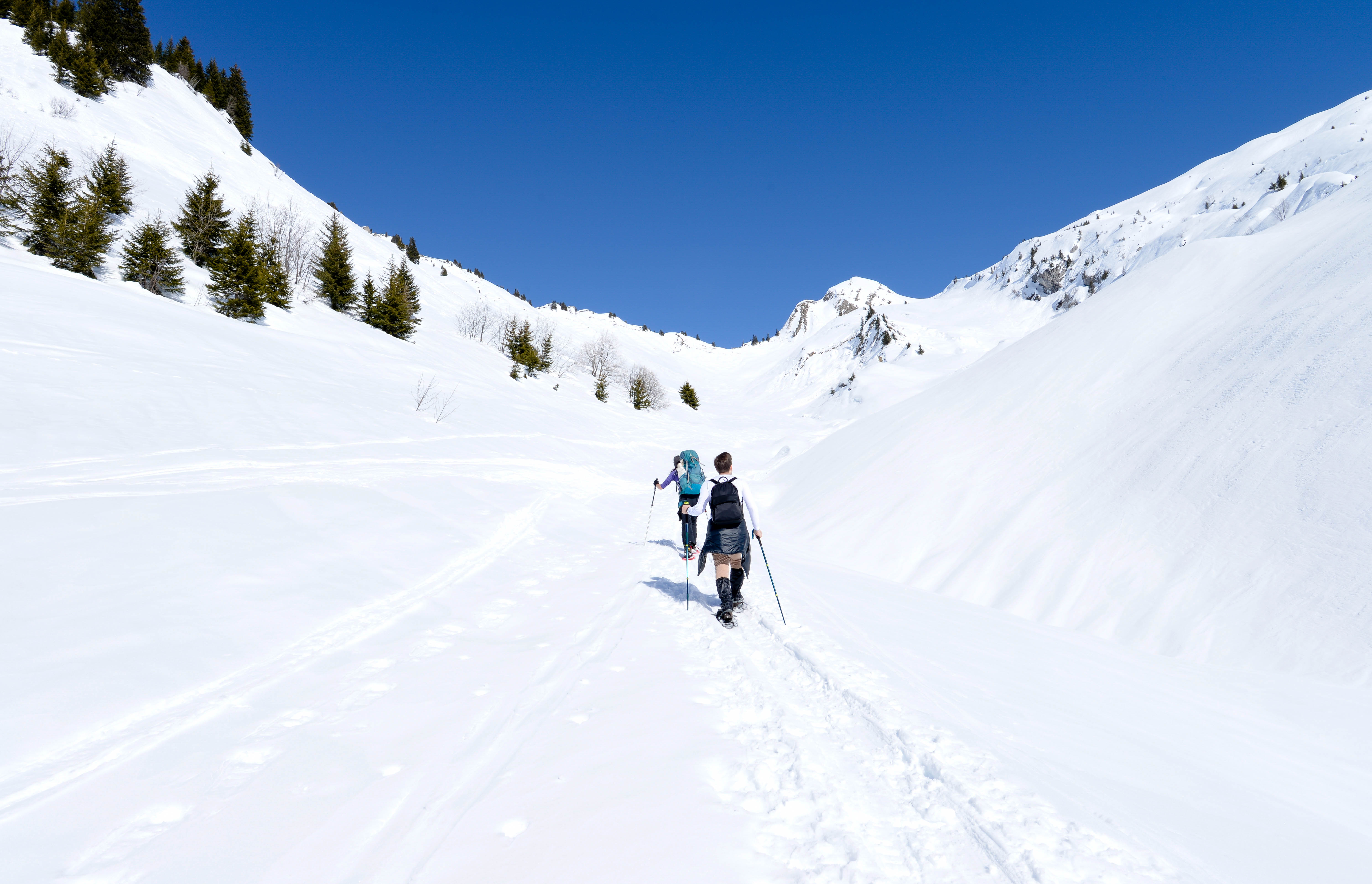 668dbb74-912e-4c9a-a984-ae83a8ec3ffe