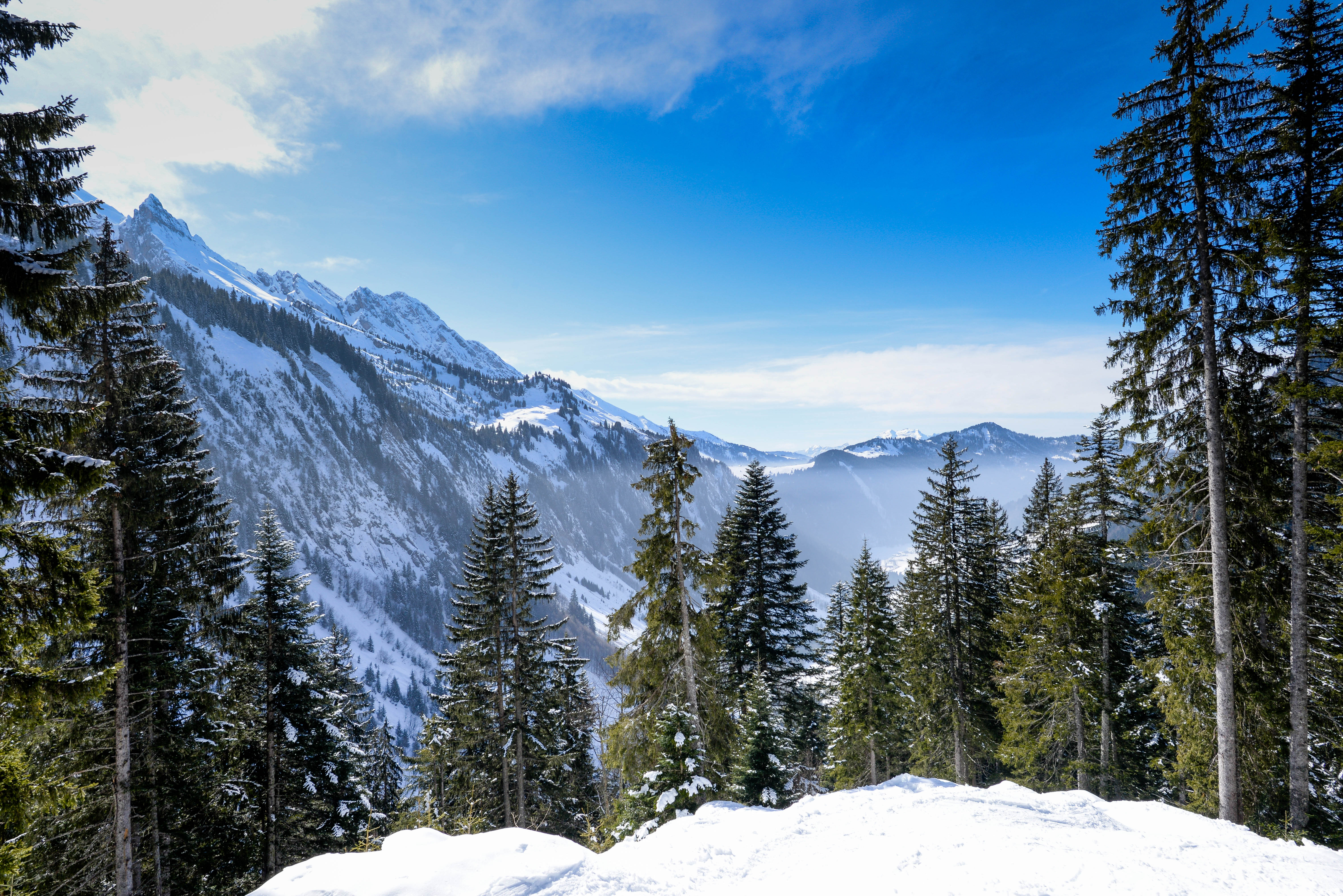 72157f3e-e153-4d8f-86ae-28f208a678c9