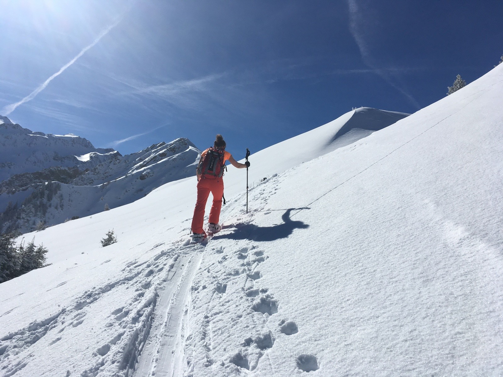 a9514903-c98c-4054-b26d-736c42a85e29