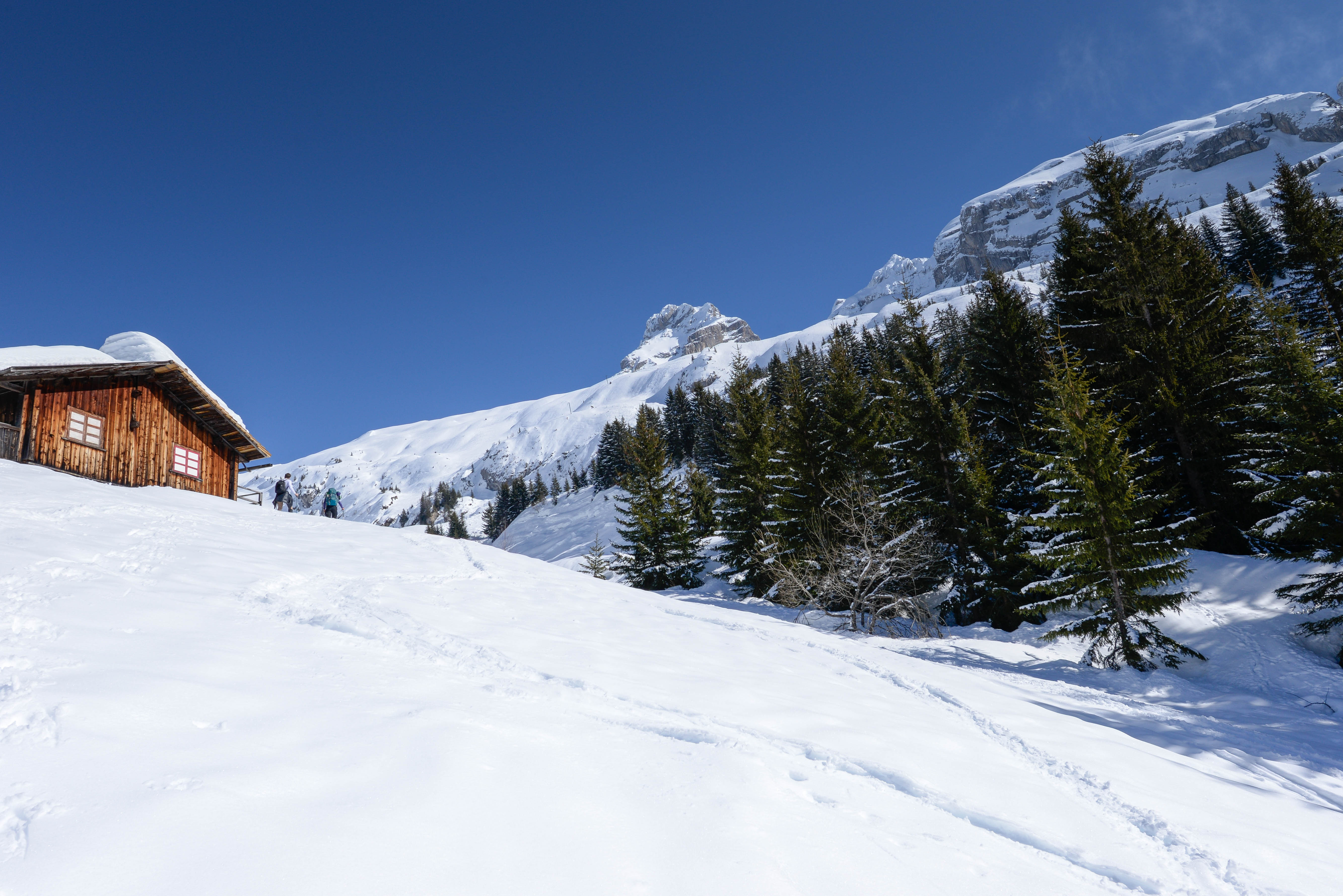 fdd3e367-1e32-47d5-80a4-8307ae8c2e51