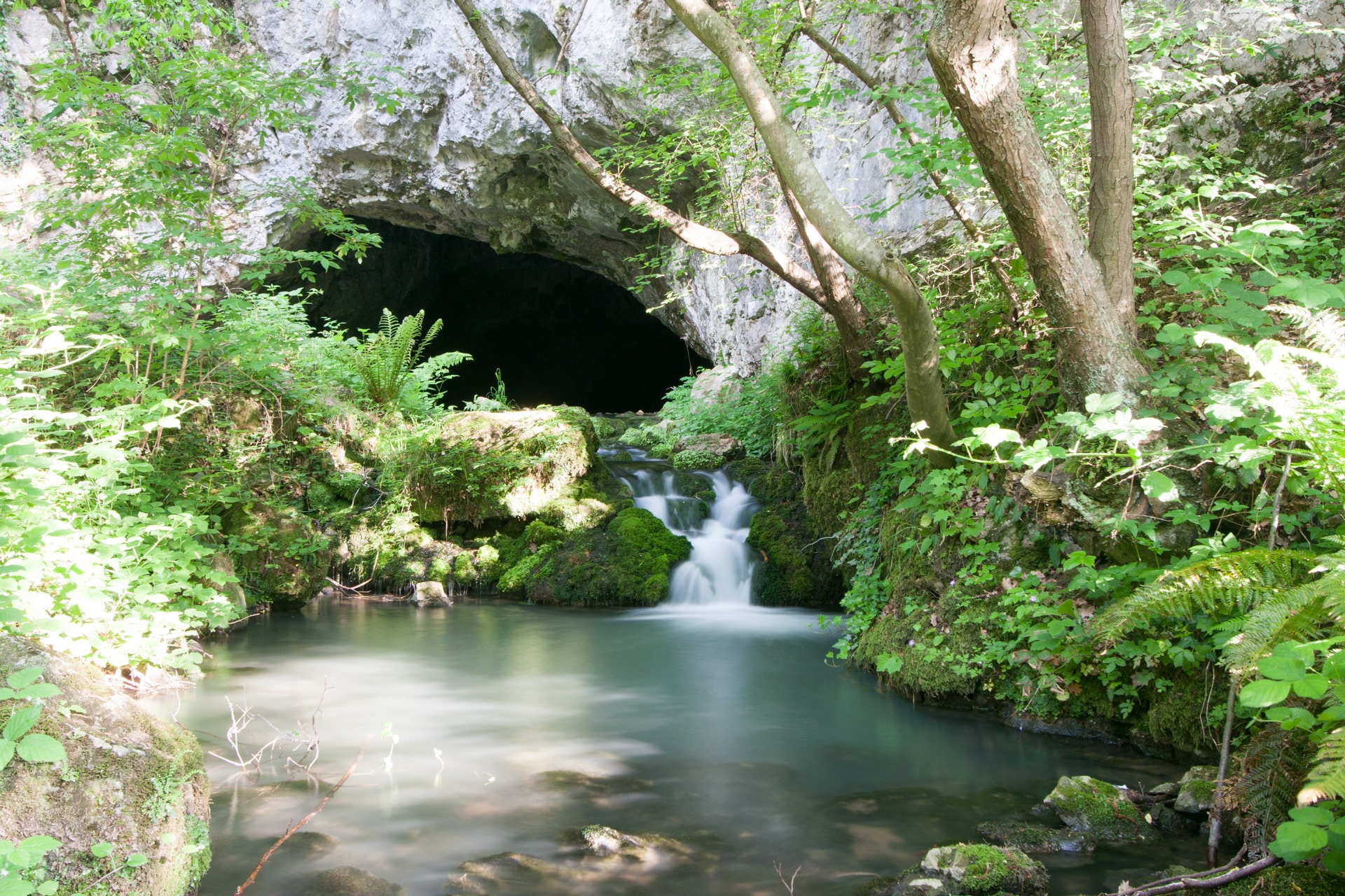 9bbf4977-7482-47dc-b8bd-4b9c0e8088fb