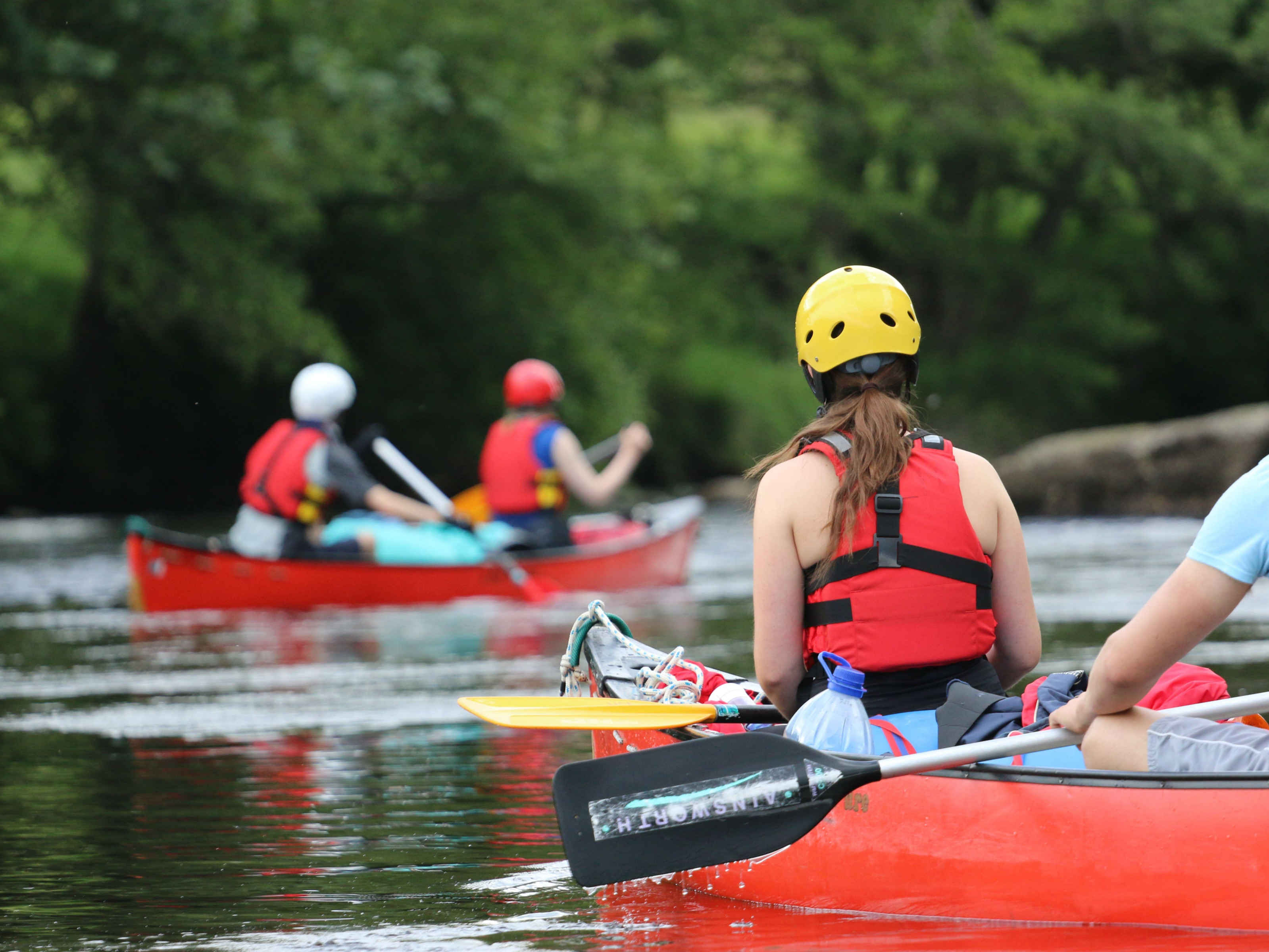 image_4SDRVHVB6YFKPQDS