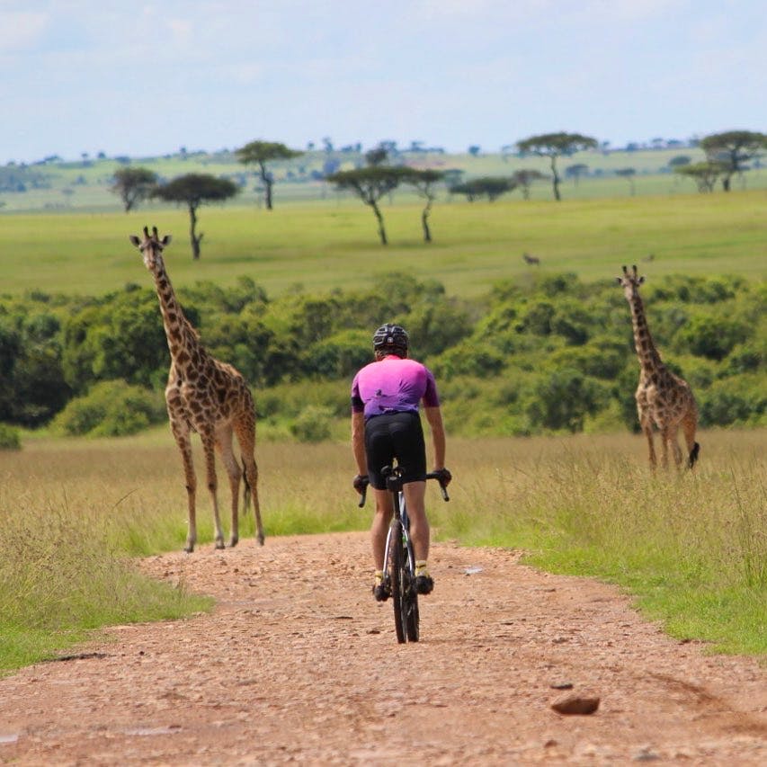 Bike Safari in the Massi Mara