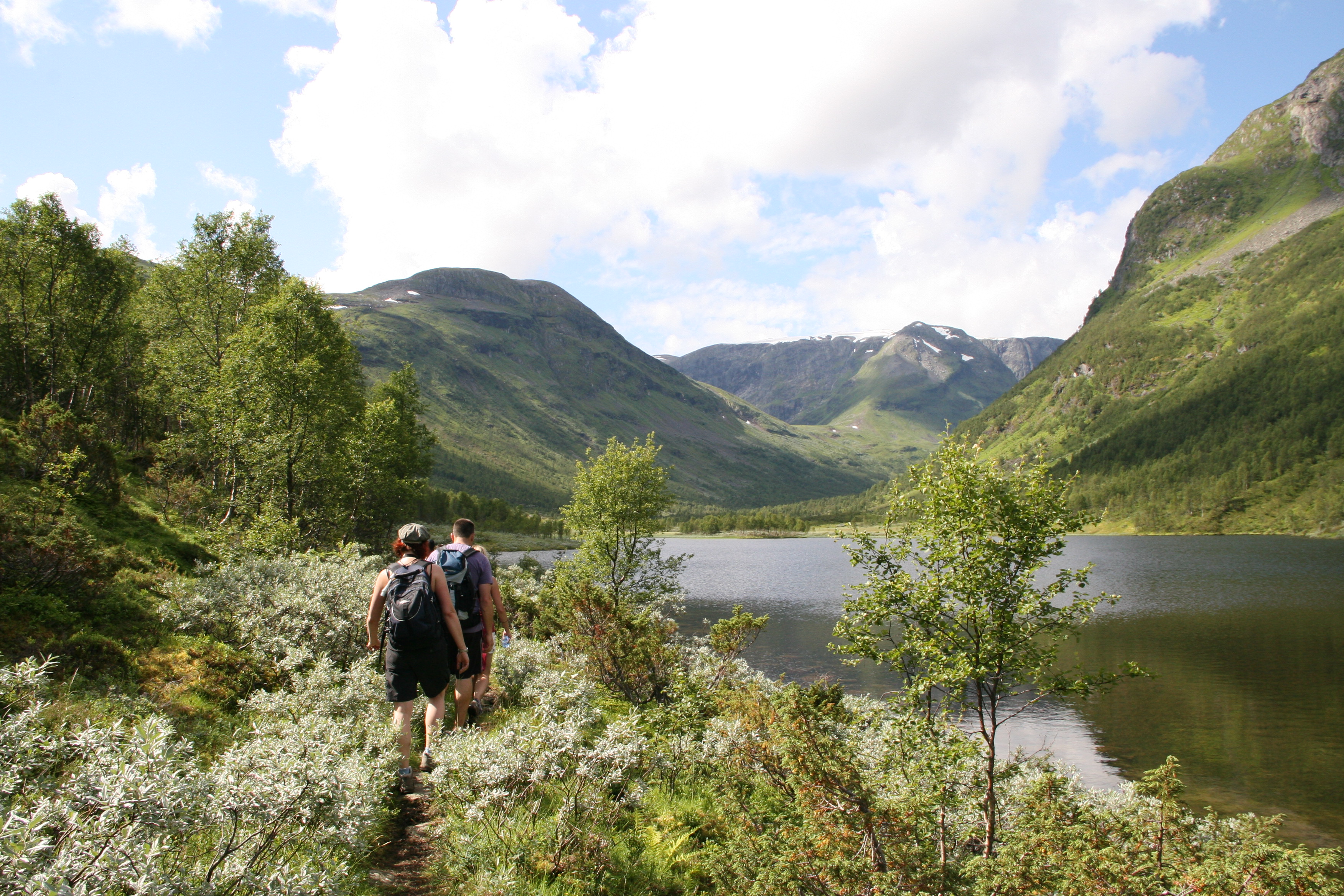 image_9MBKNG5QC6CP8CZJ