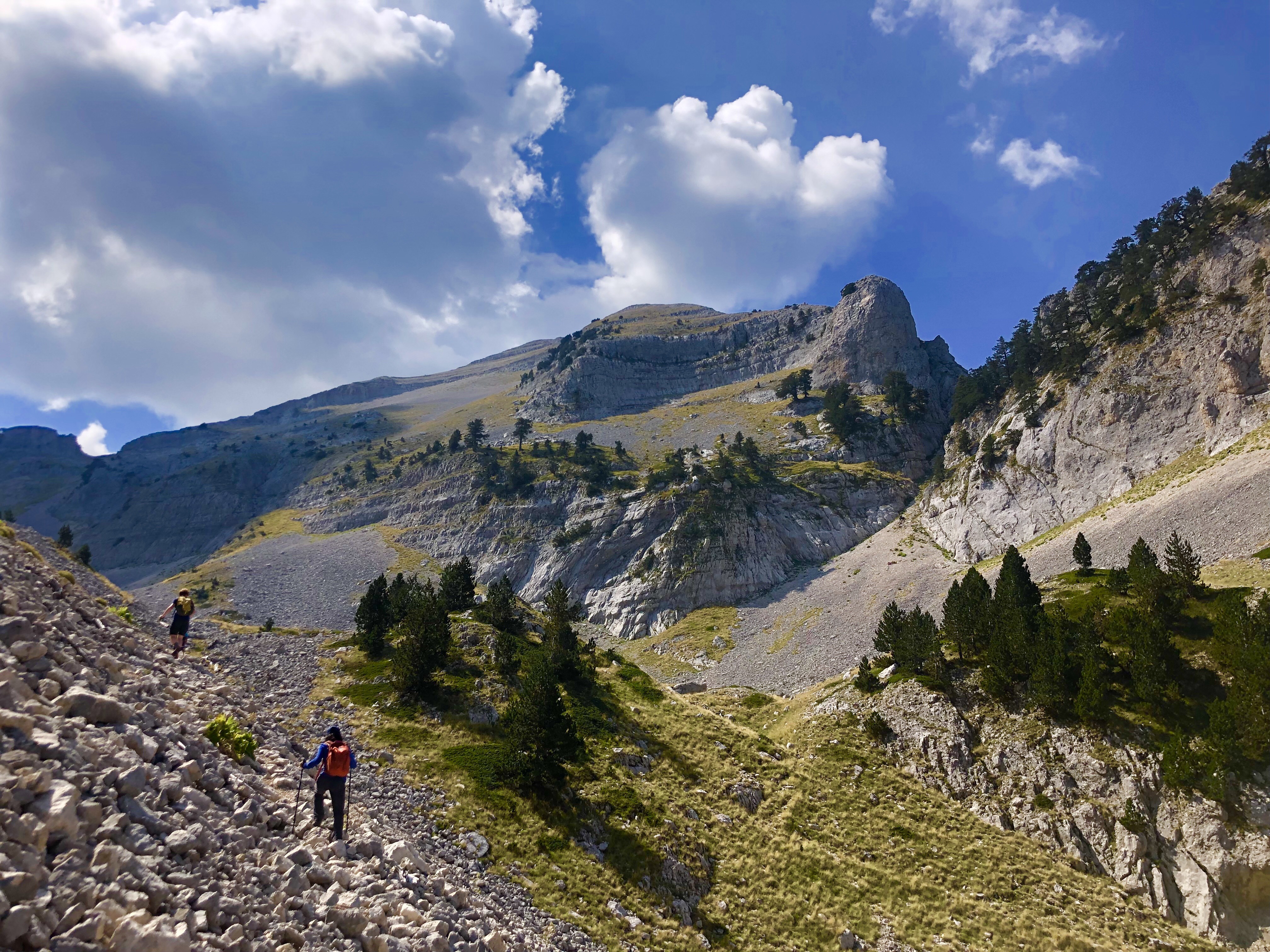 8f1017f6-b540-4416-994f-d21fd26229a8