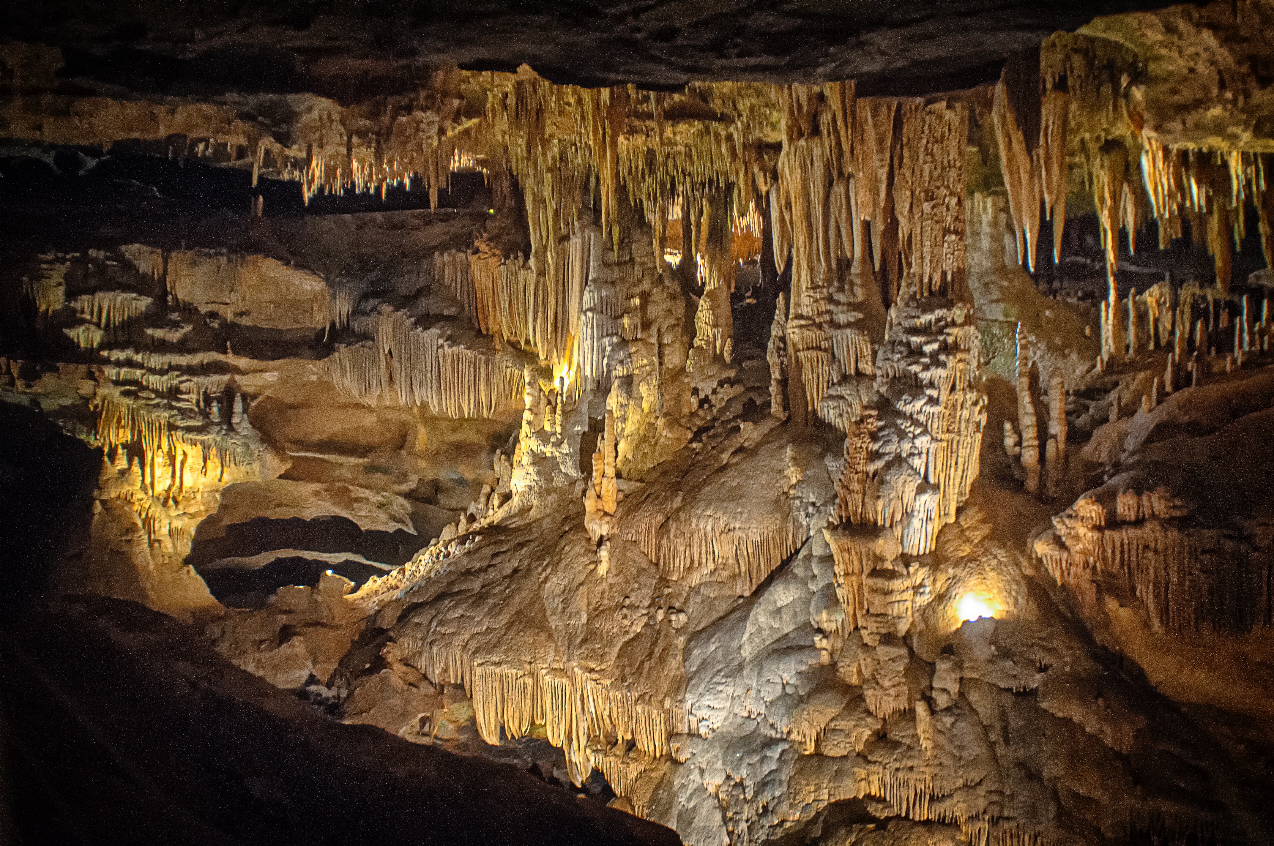 91fb69d3-43b5-4e24-8b2b-884193715cd6