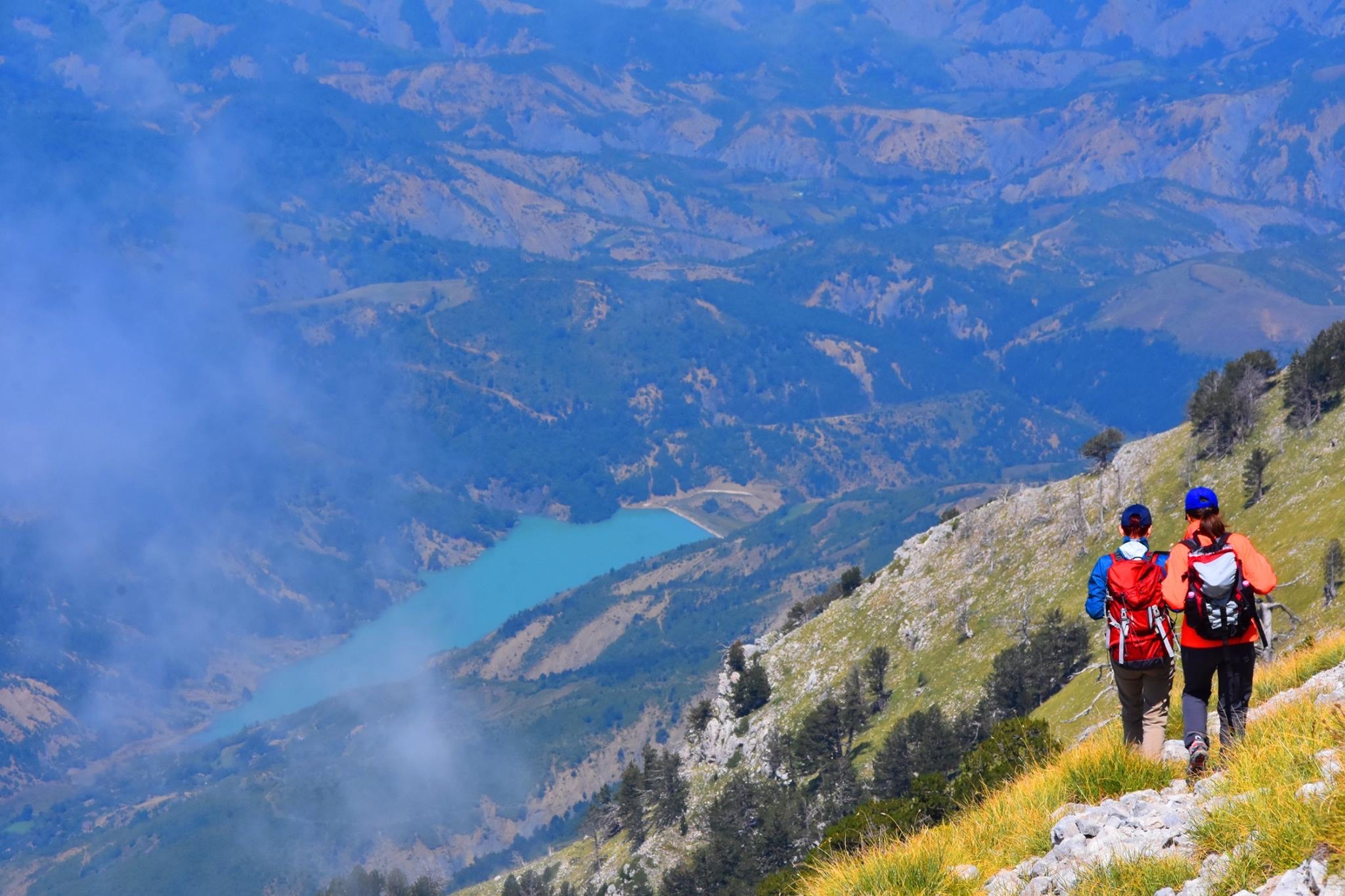 7282c539-a479-4f82-9f06-6ae40980d9c1