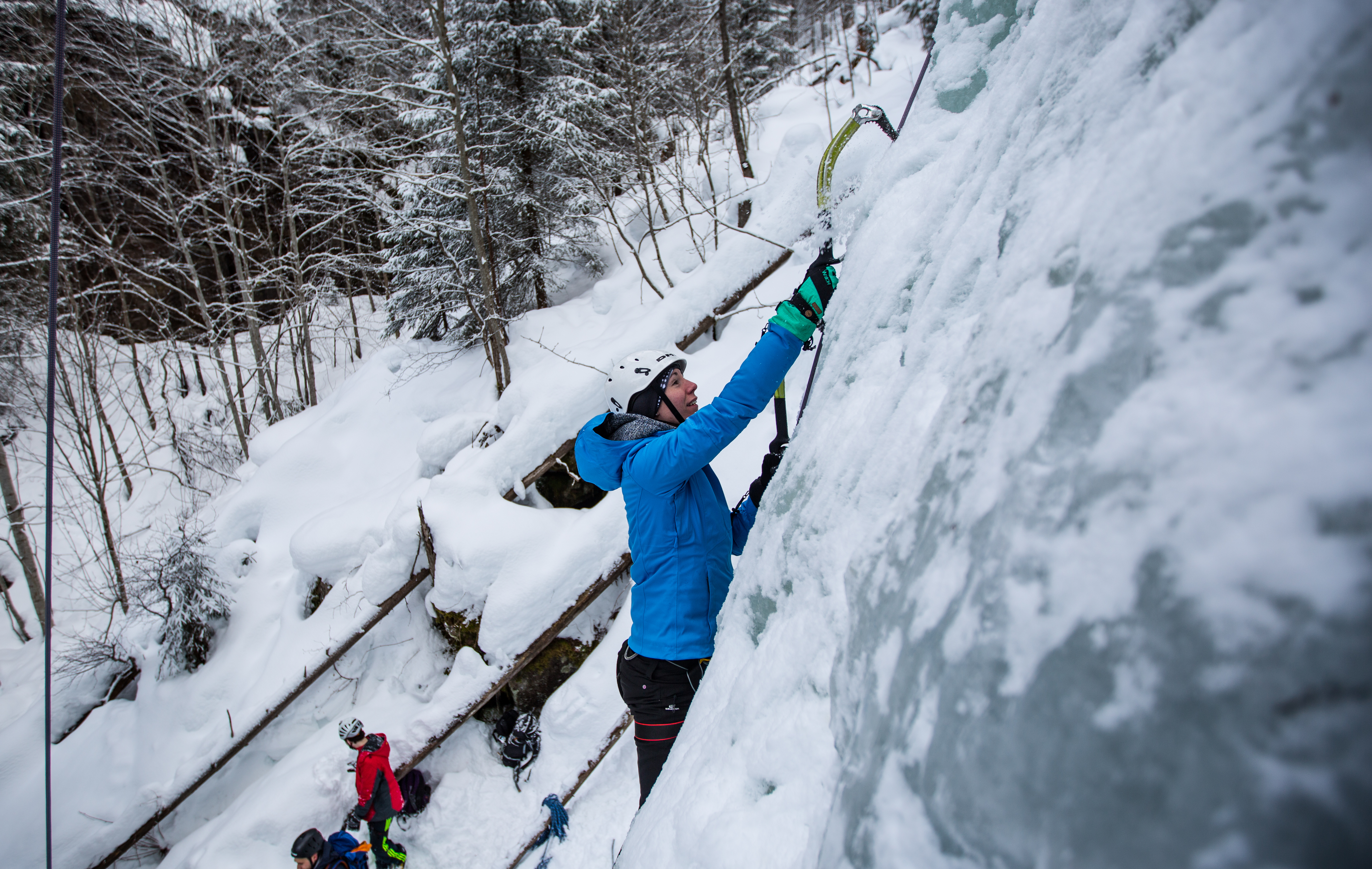 87f8fa53-1aa3-4936-9712-3791b94333f2