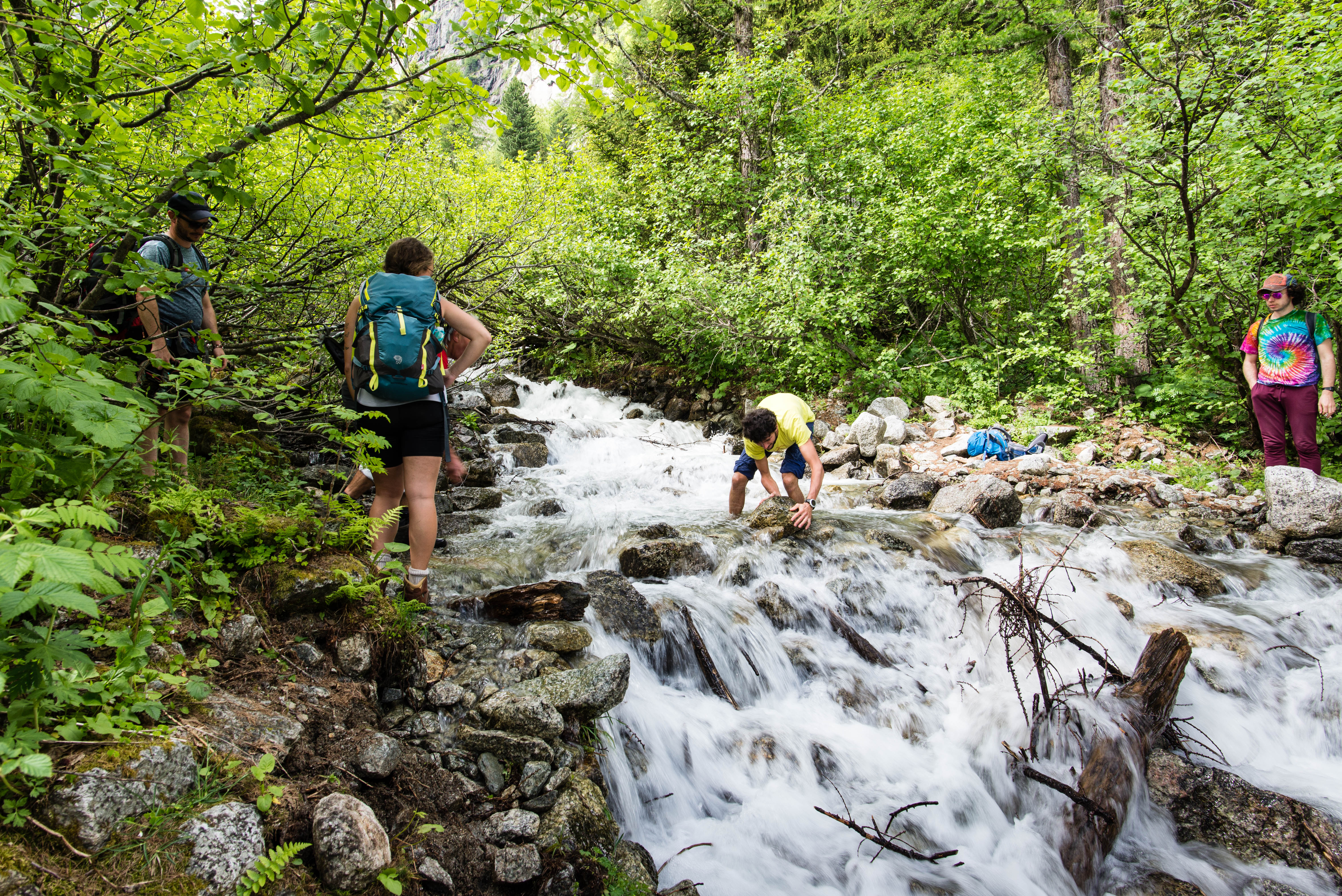 c34b858e-45e9-4930-94ae-f701c60fe539