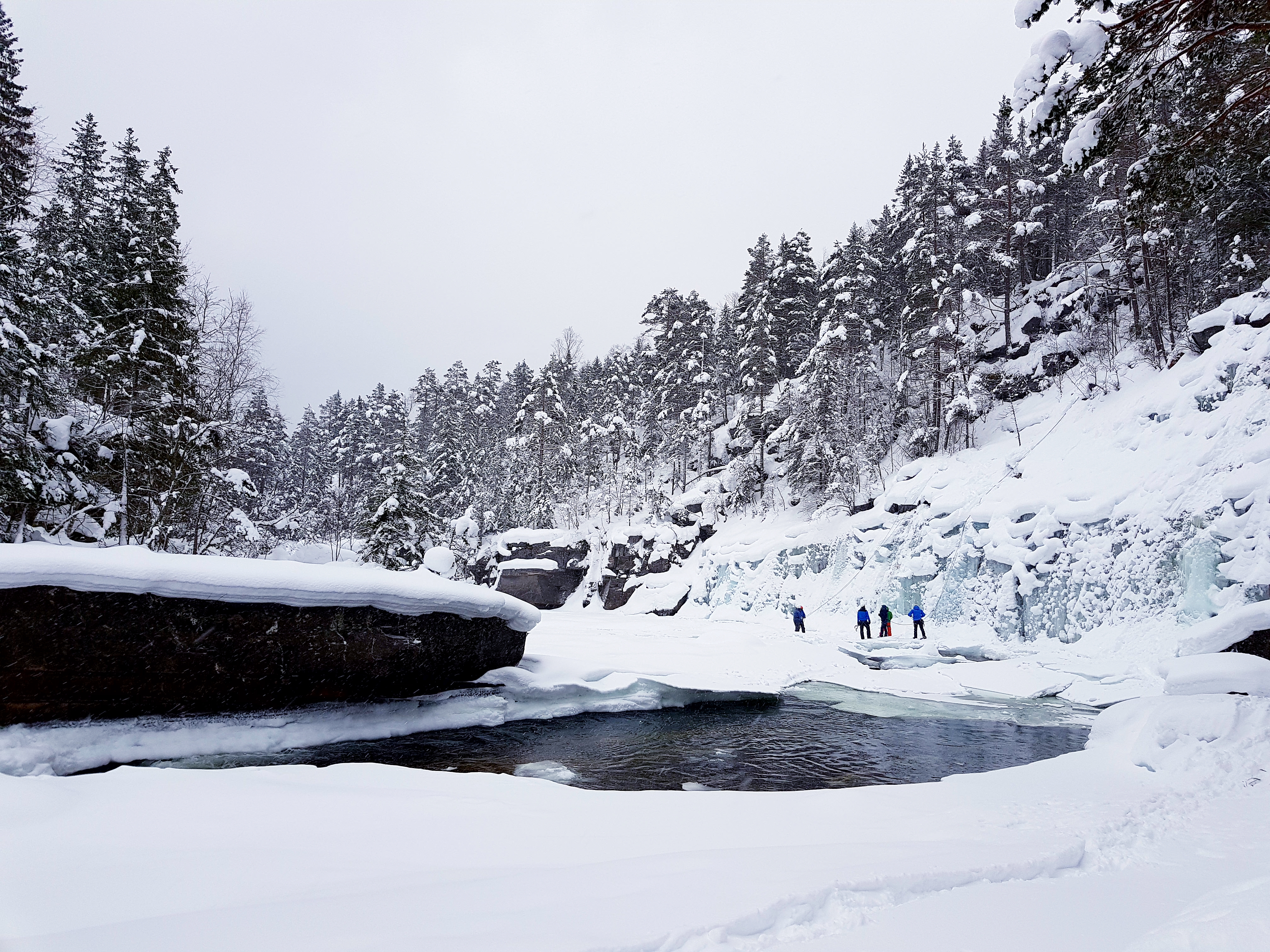 7530e62c-9dbc-4b31-b706-4c2b0c94326e