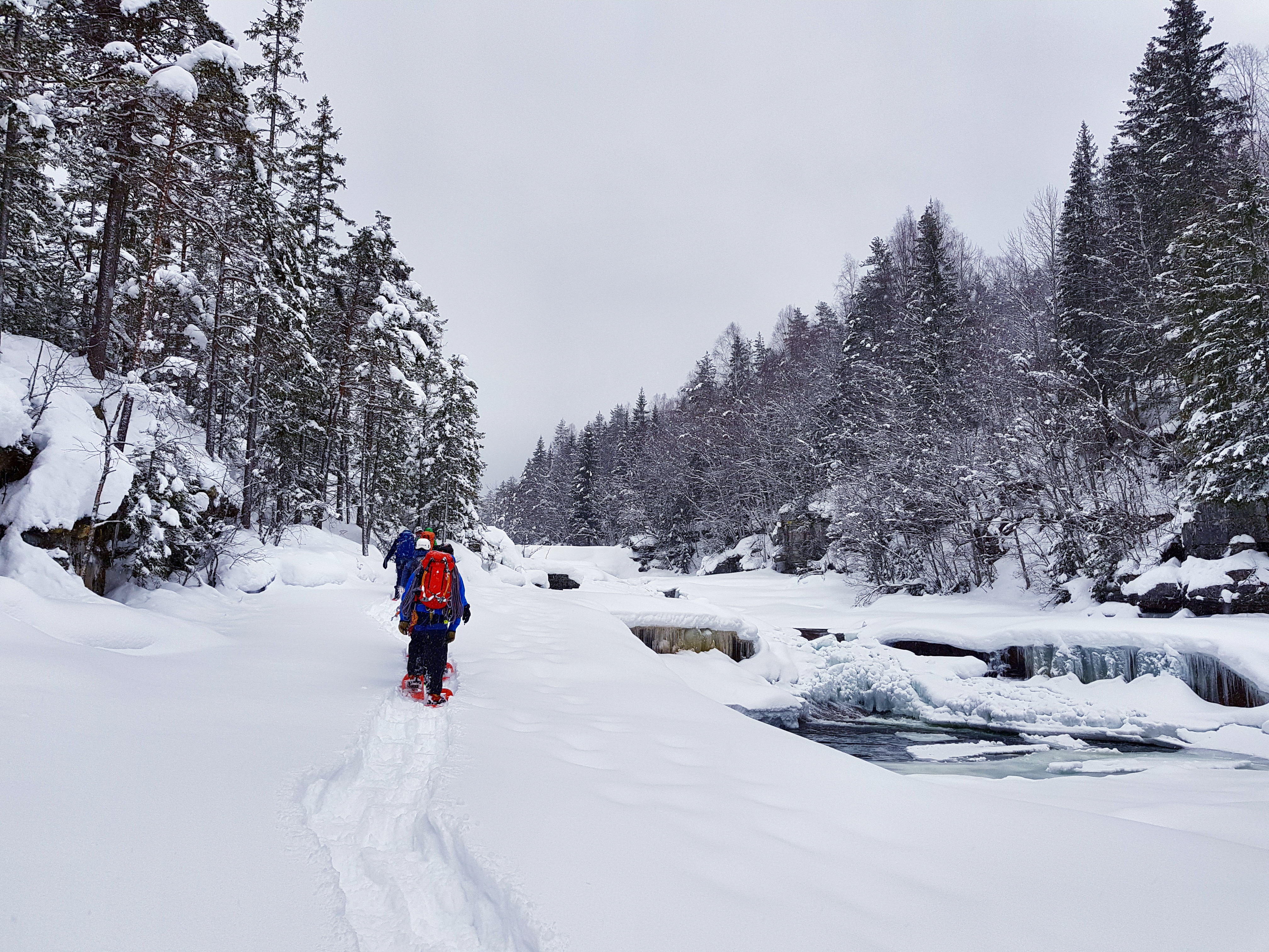 a40f2791-e7ce-4565-a60f-98417270f51b