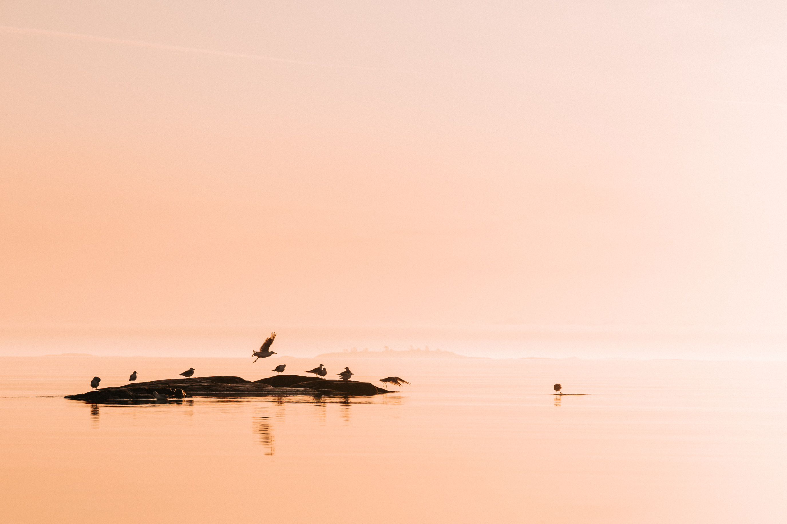 image_PPYV8EML92DP56R2