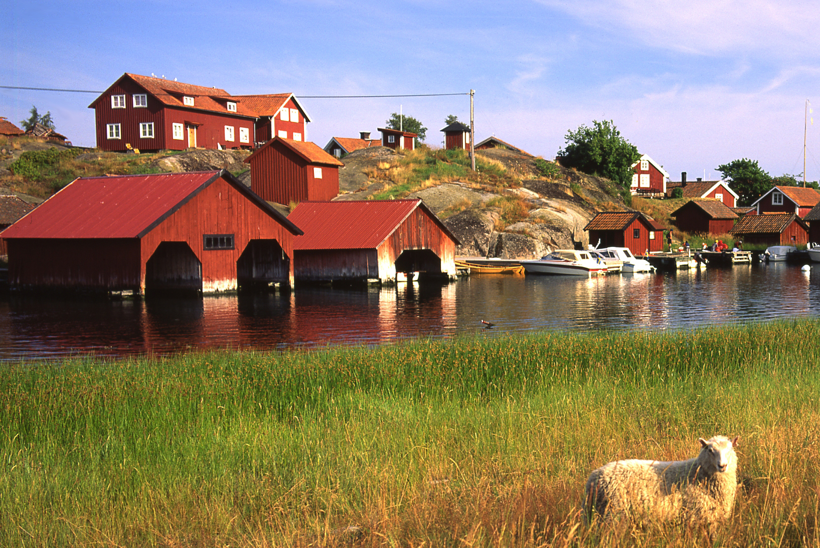 f9ad4a8a-9da2-49ae-9324-58946c18b1f8