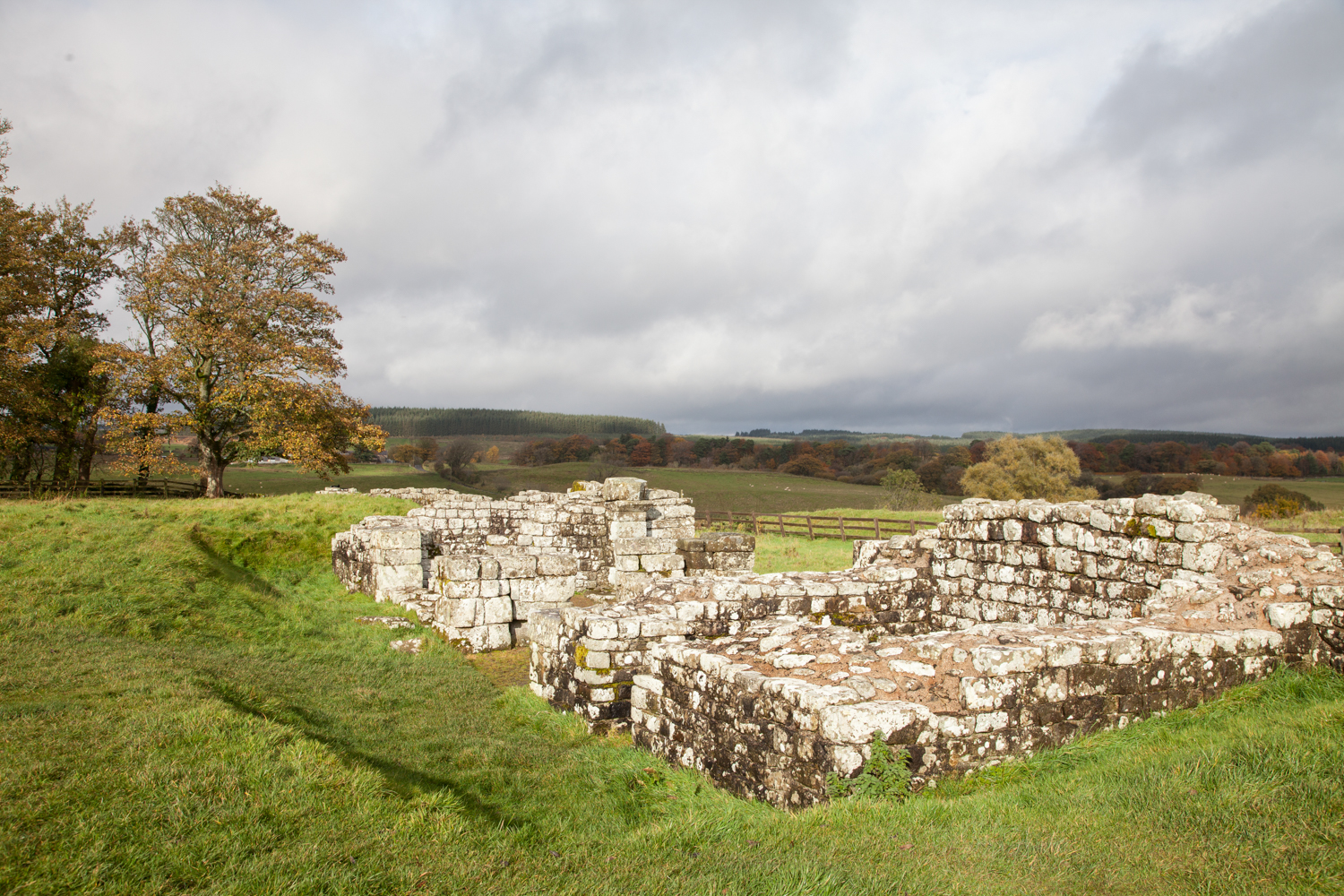 image_WGDJPJCMTLCN4MVJ