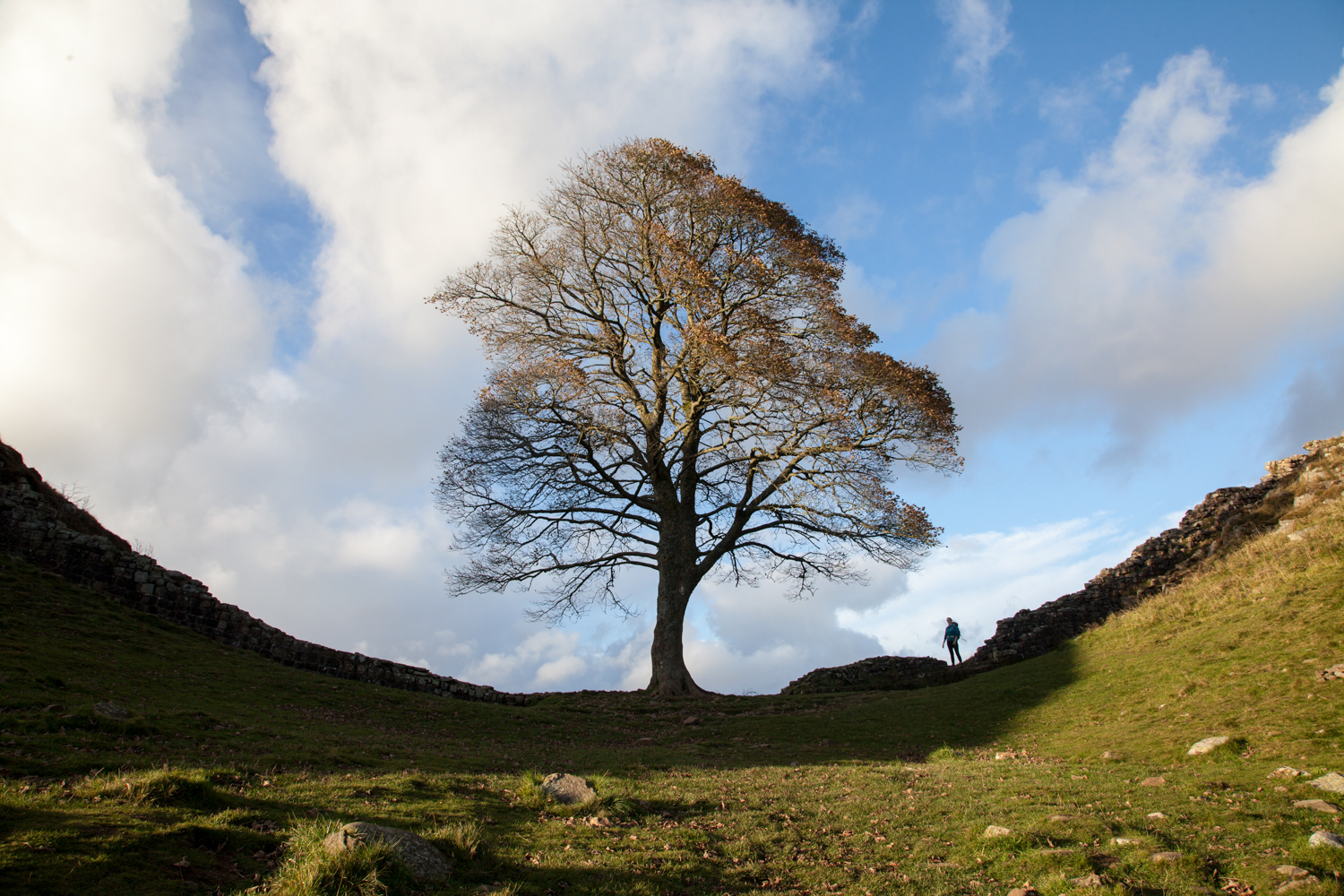 image_FE8X2CFQV5KU4F8R