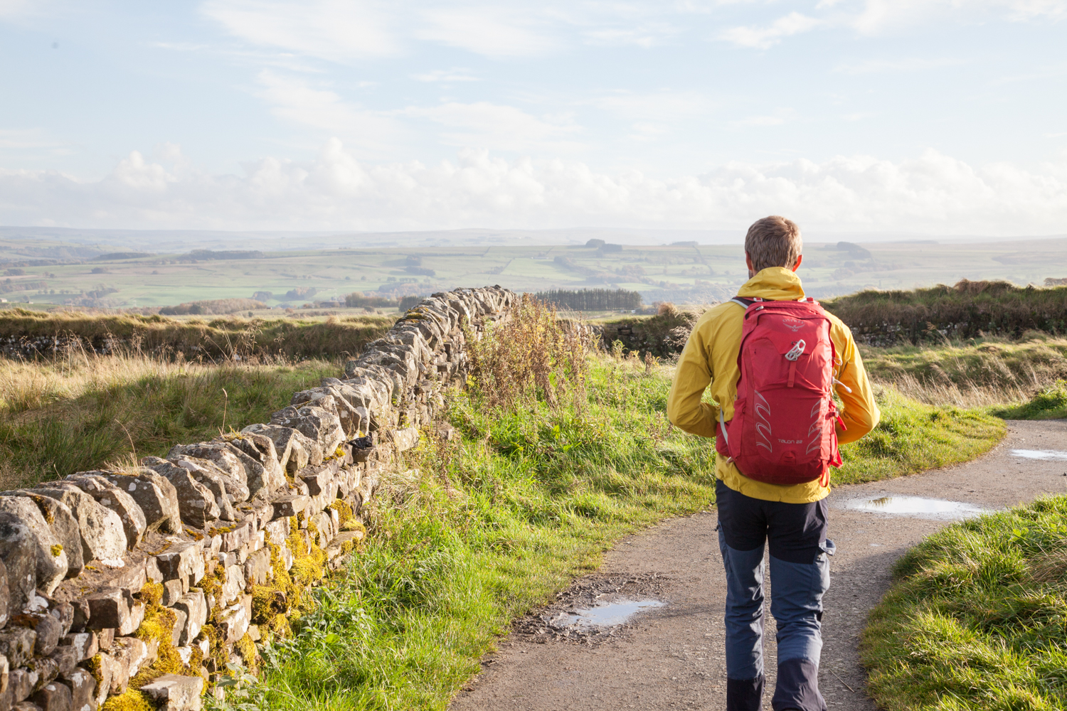 image_2VFHX2X4NA84ZG74