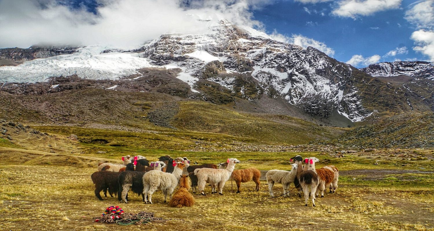 image_YFDMJ69H2E5YLSJ9