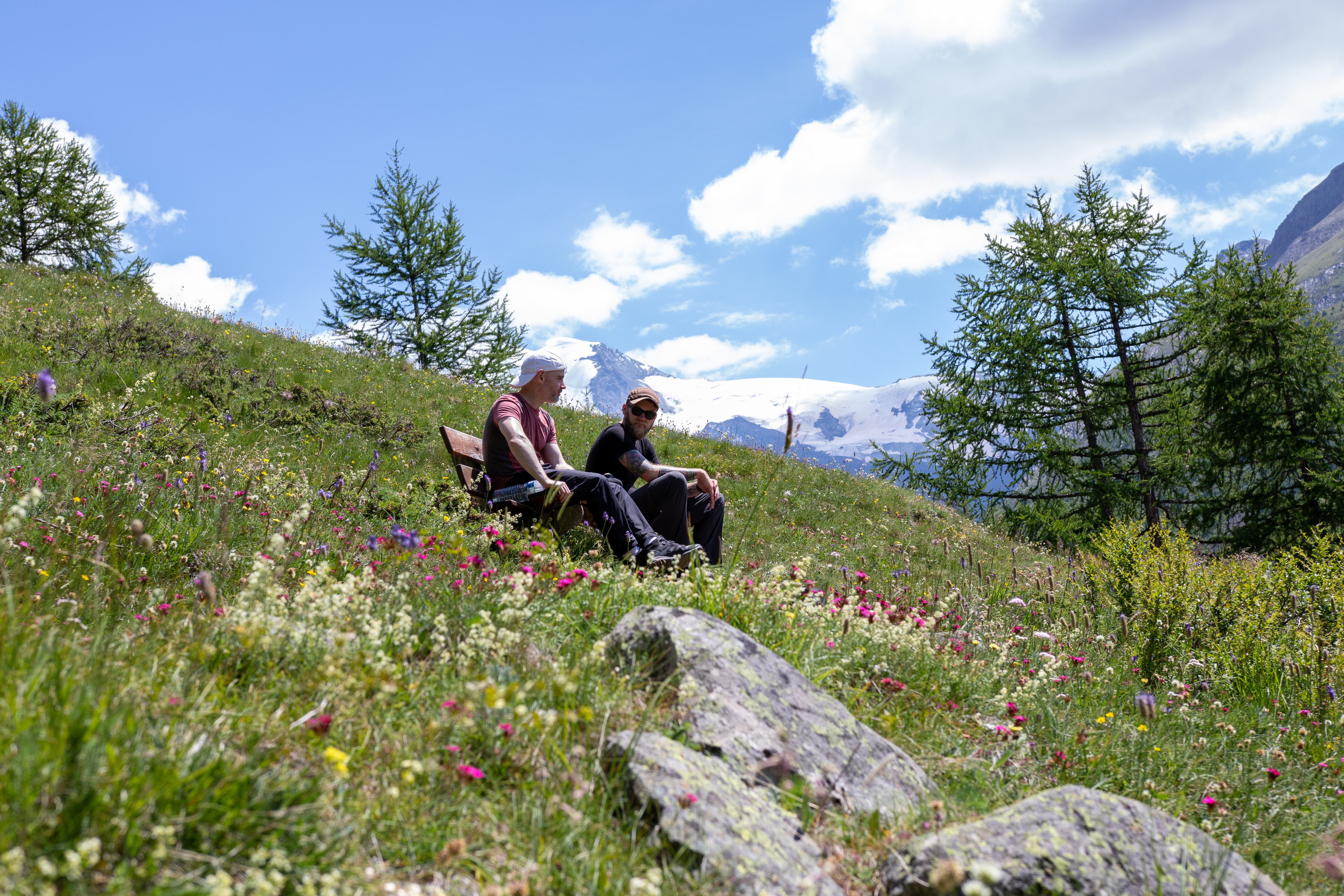 2a14141c-ad70-44bd-8711-e82dabfc297e