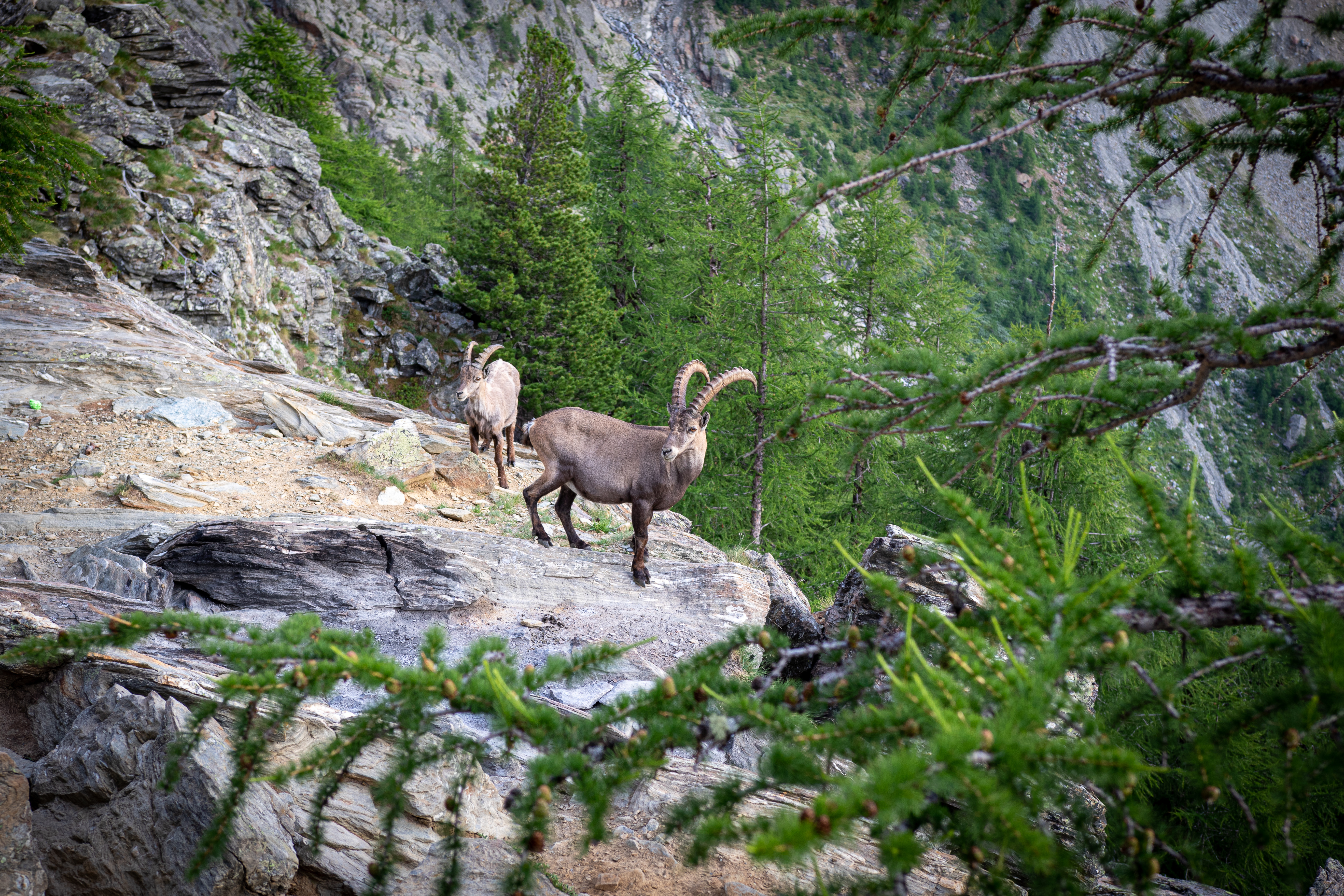 48639e5a-a4ca-438f-9d27-964d06f7f69a