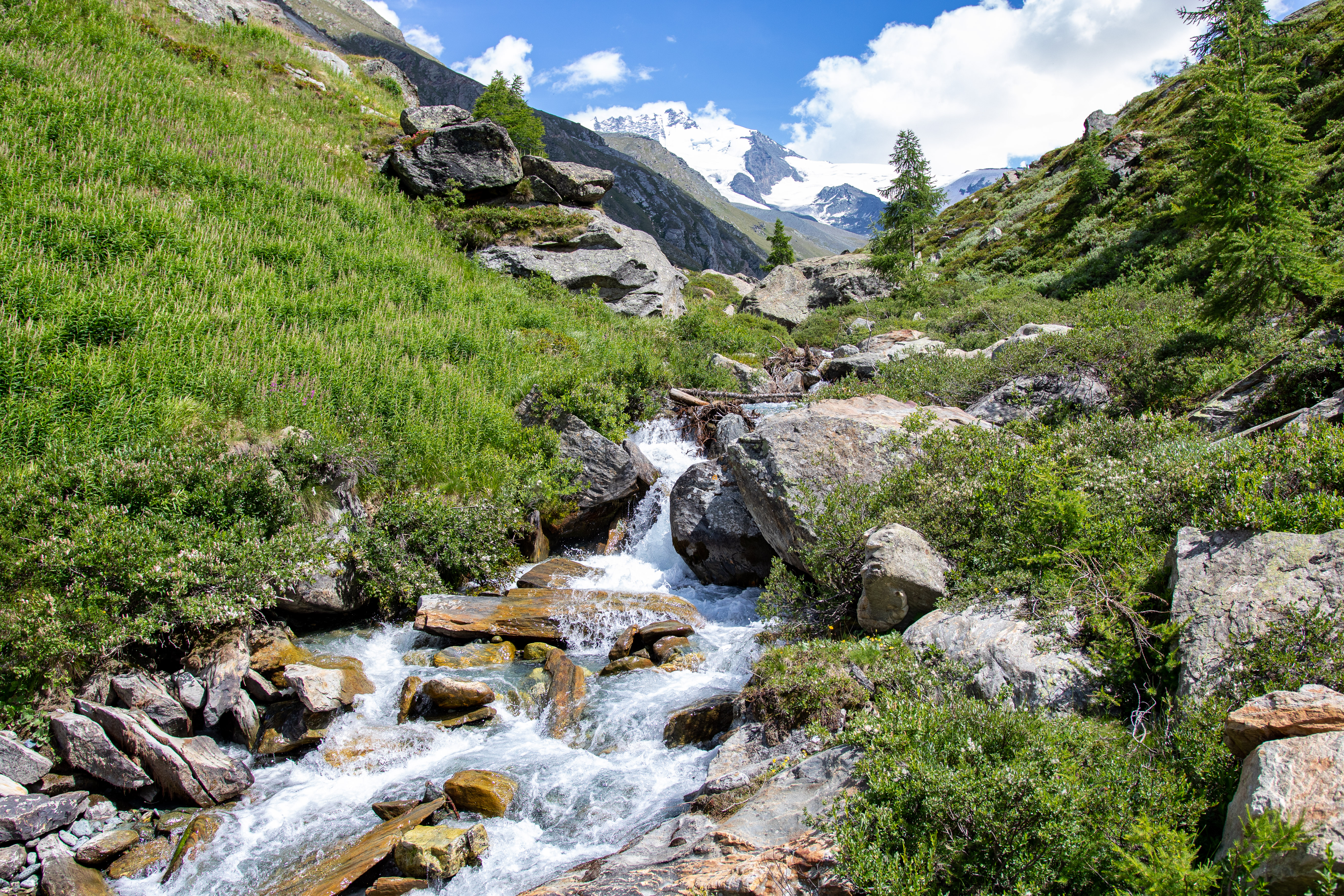 9a1d221b-1d91-4da2-ad26-c0f0a9848343