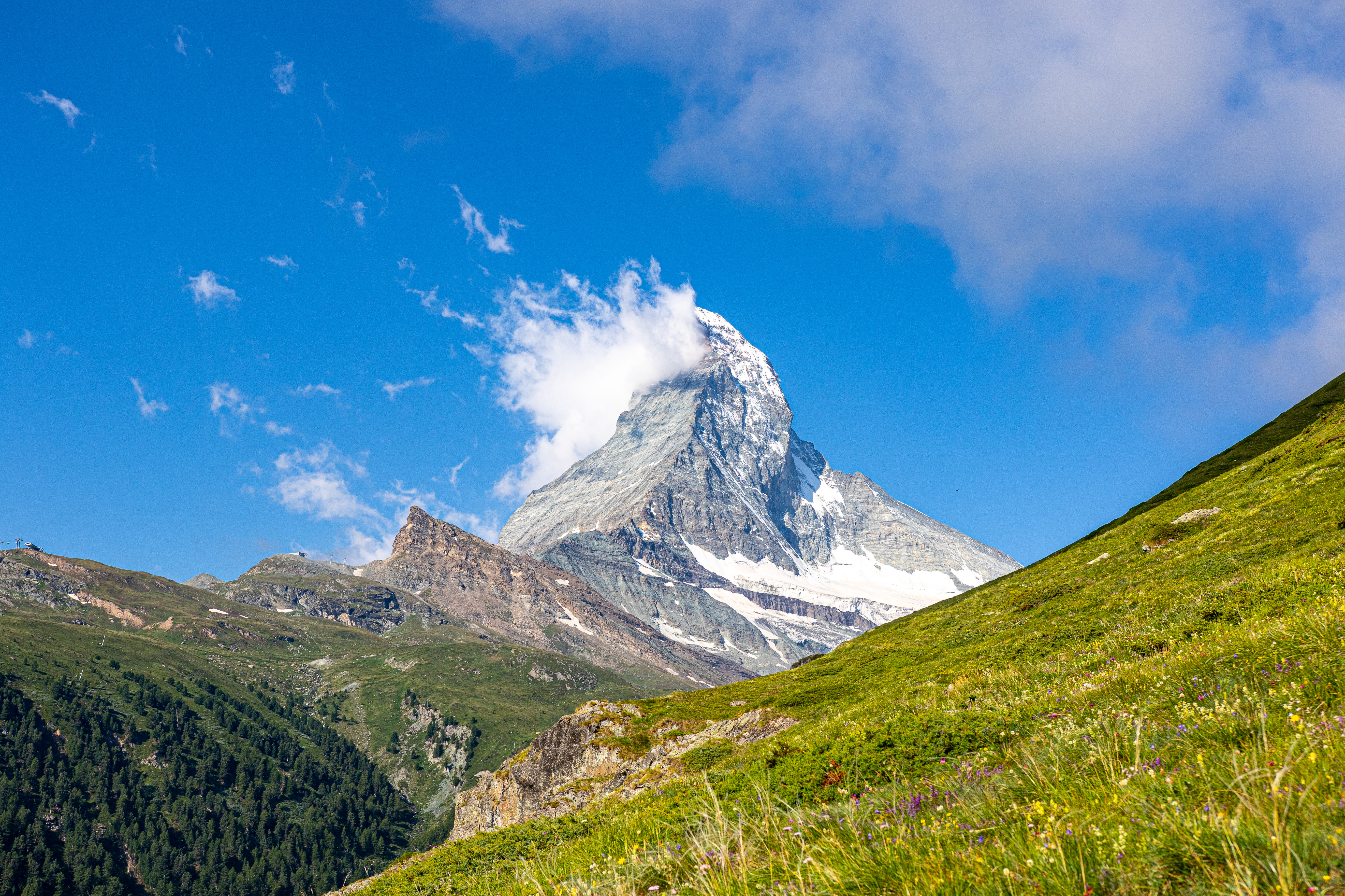 d9e61dbf-28f3-47b0-85f7-5756d8b6399f