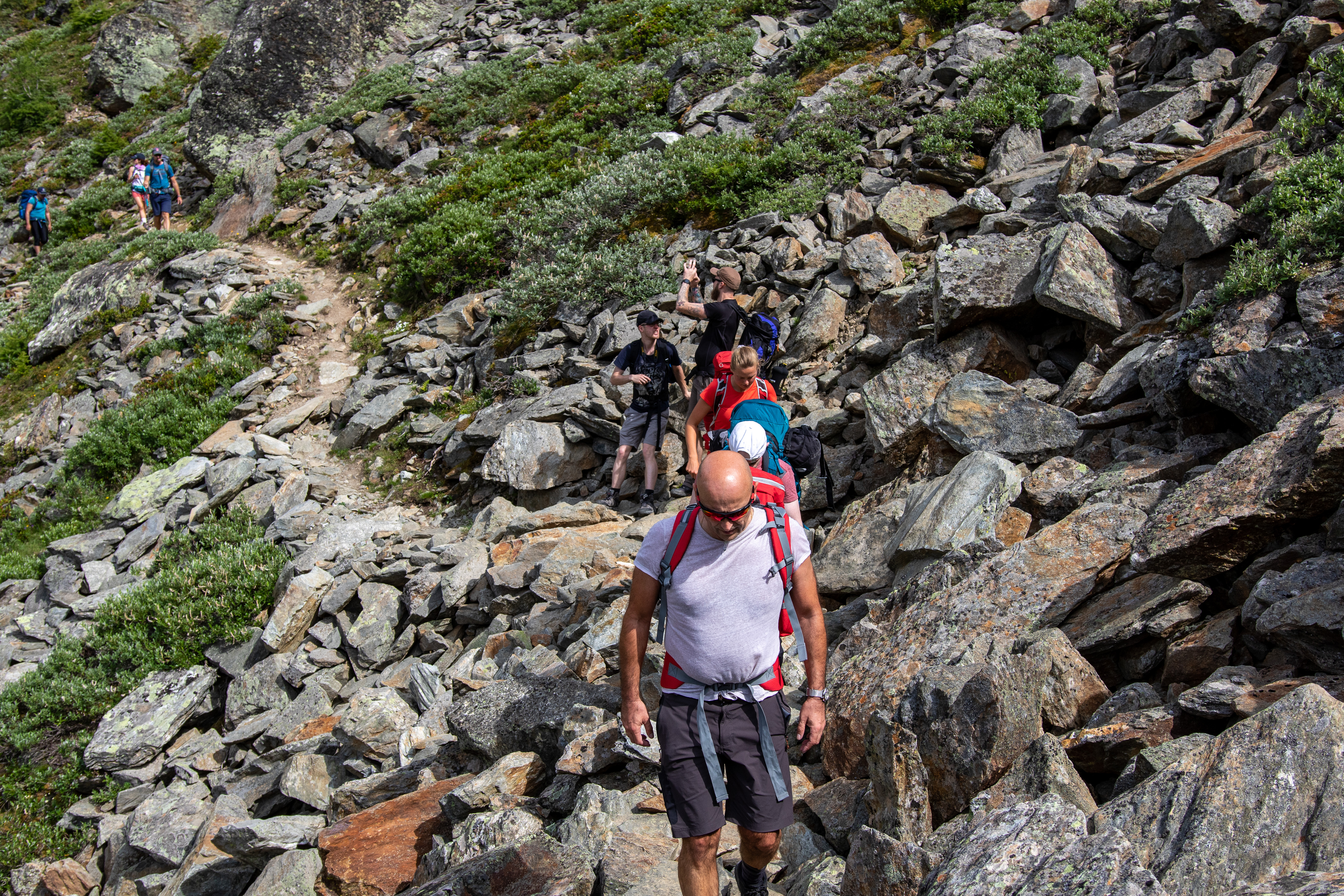 e045008d-478b-4e71-8072-970681ea0a6c