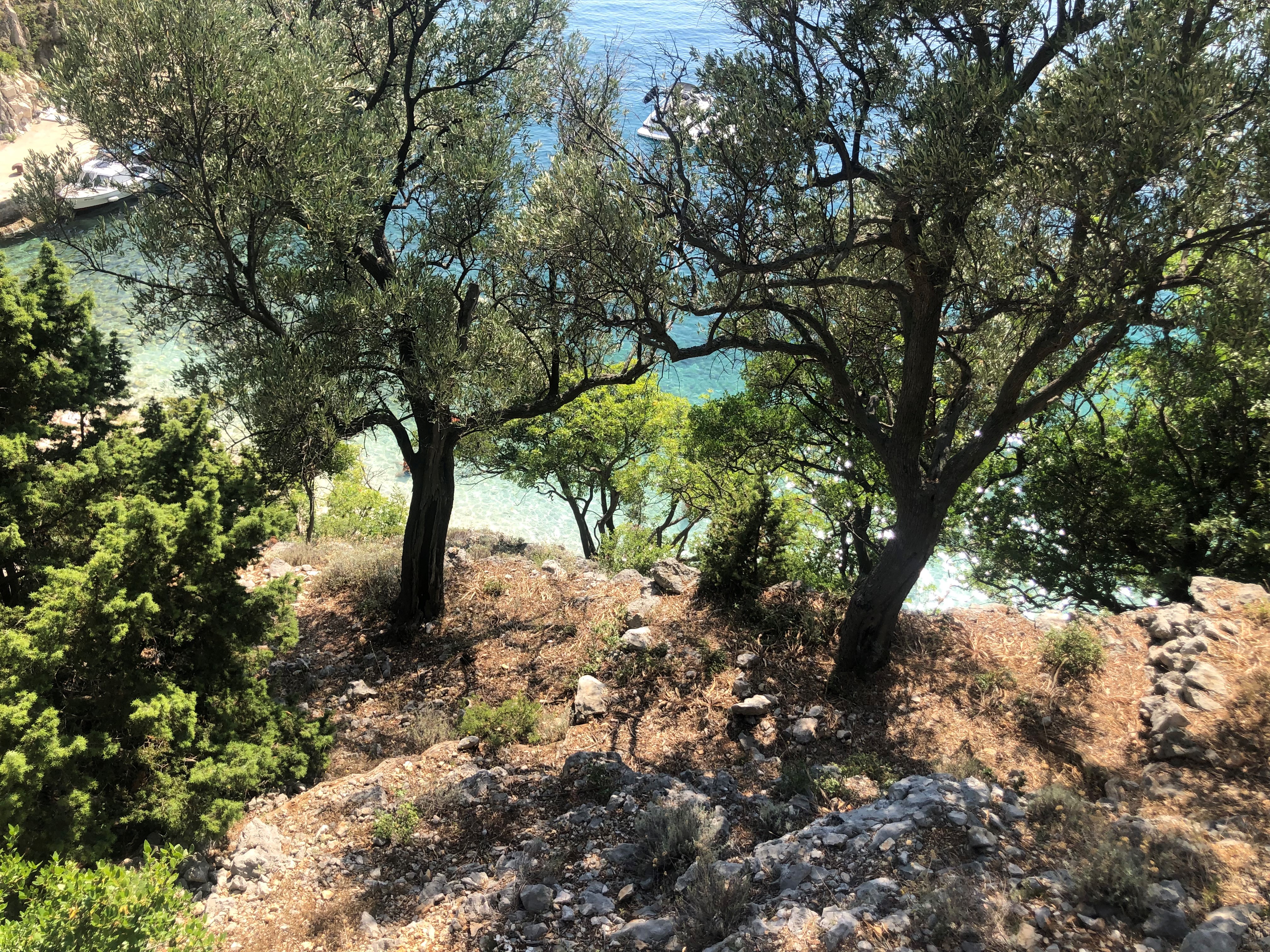 image_D8EMBQZW9GT6W29B