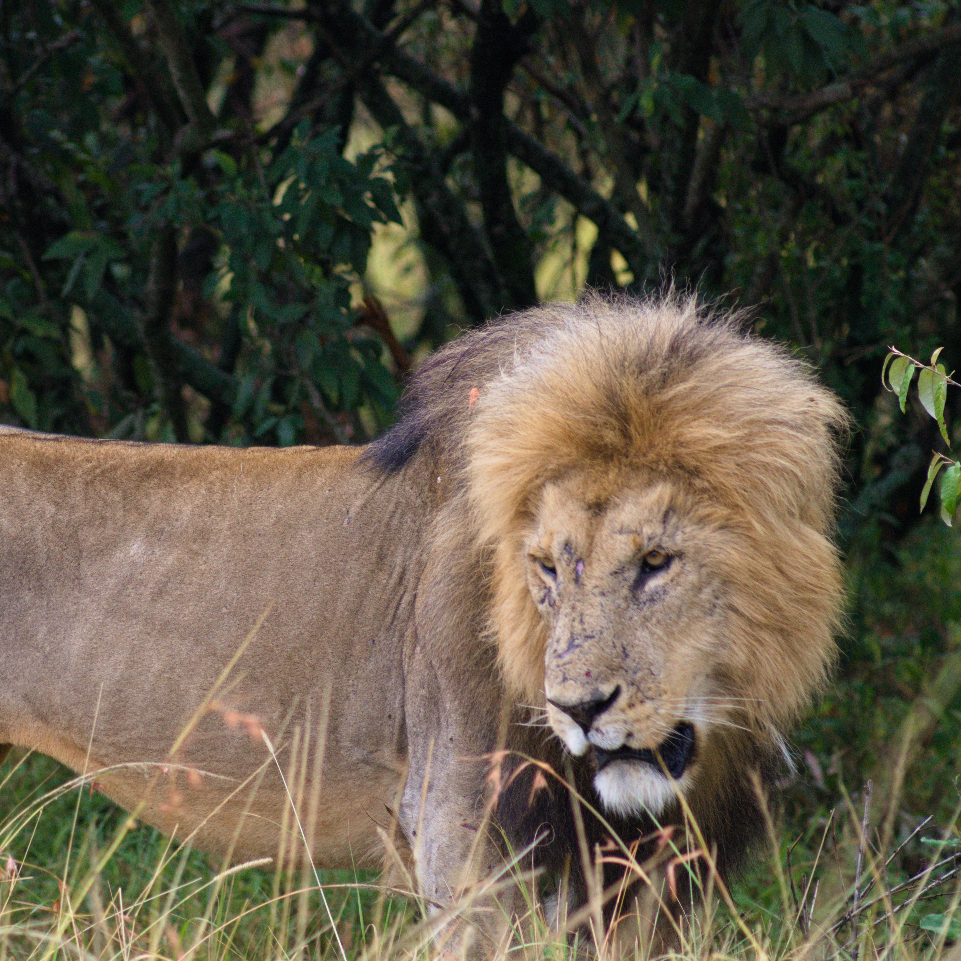 3ddcd09e-58e4-4887-ac40-b7e42f636d0a