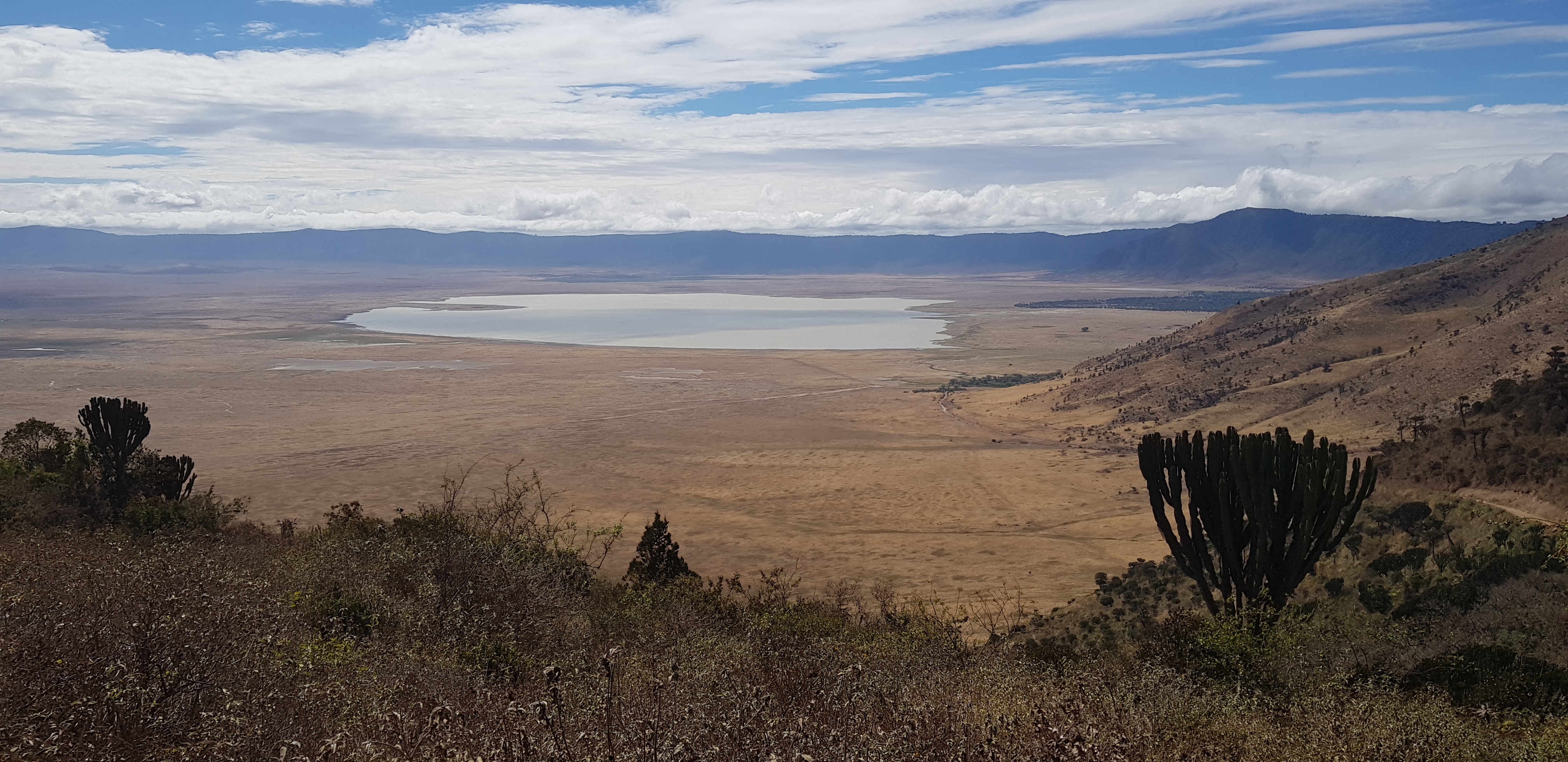 74cc25b8-f6ca-4297-8a89-c2dff084ca18