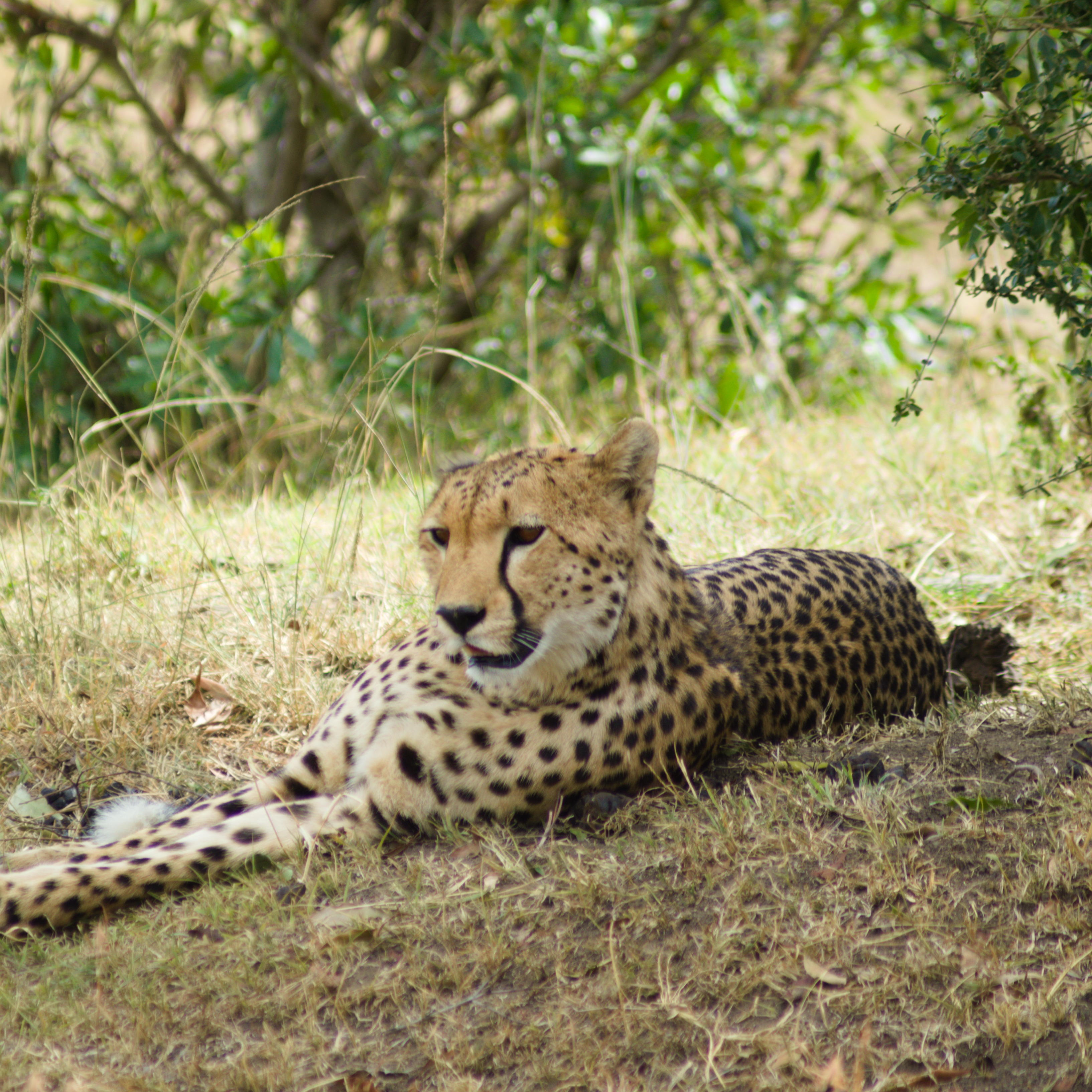 8216c2af-0719-42dd-8530-e9bbce25aed3