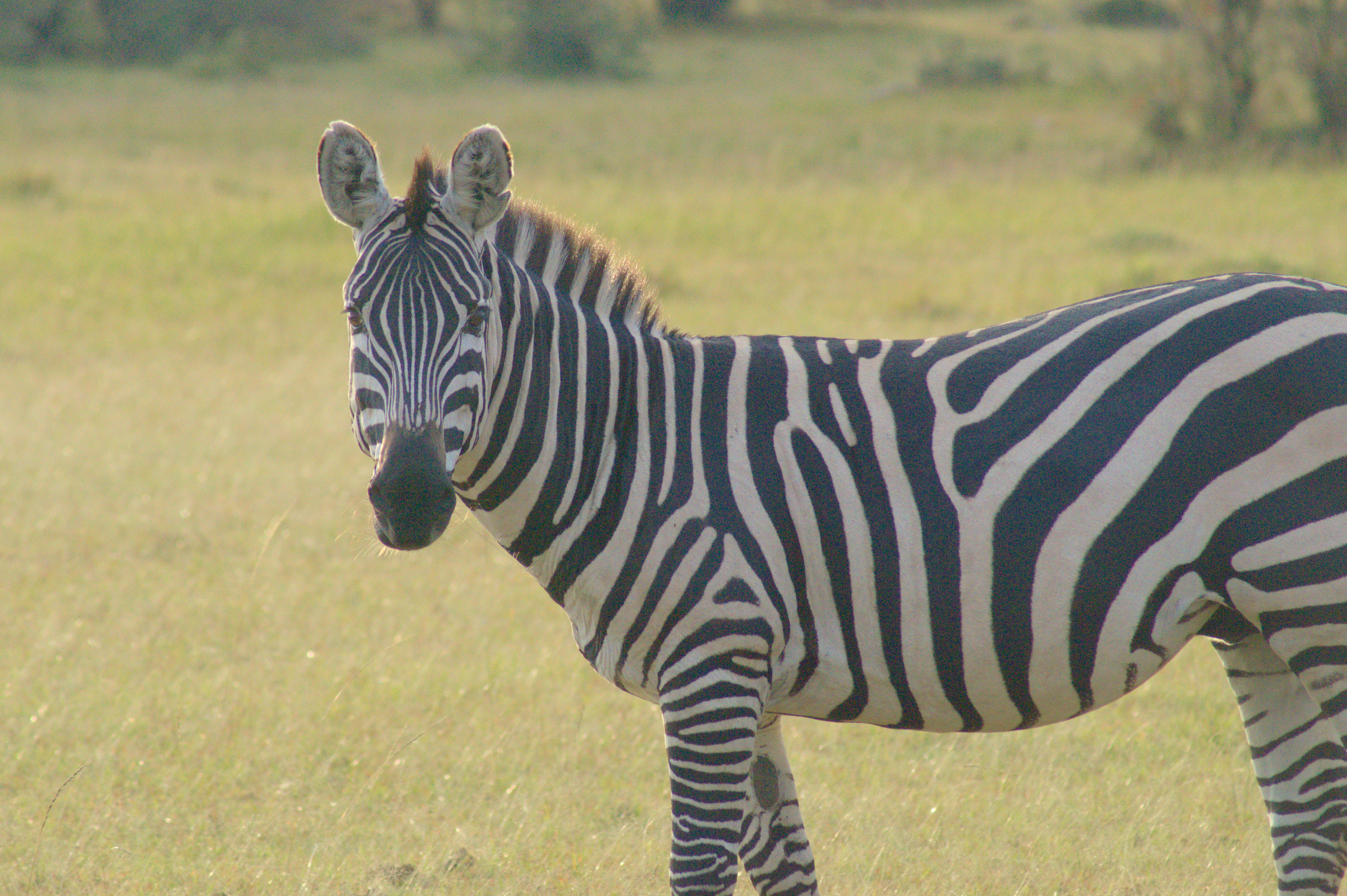 8b6649ac-b389-4870-bd1b-69f9ef105e8b