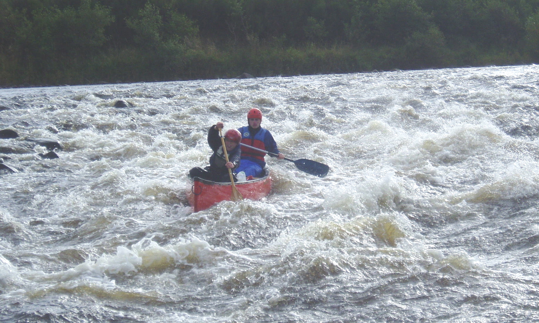 image_9A8D6KSFQ3JXPD6G