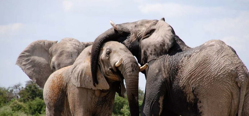 image_QKKEAY6P5RL6CU4V