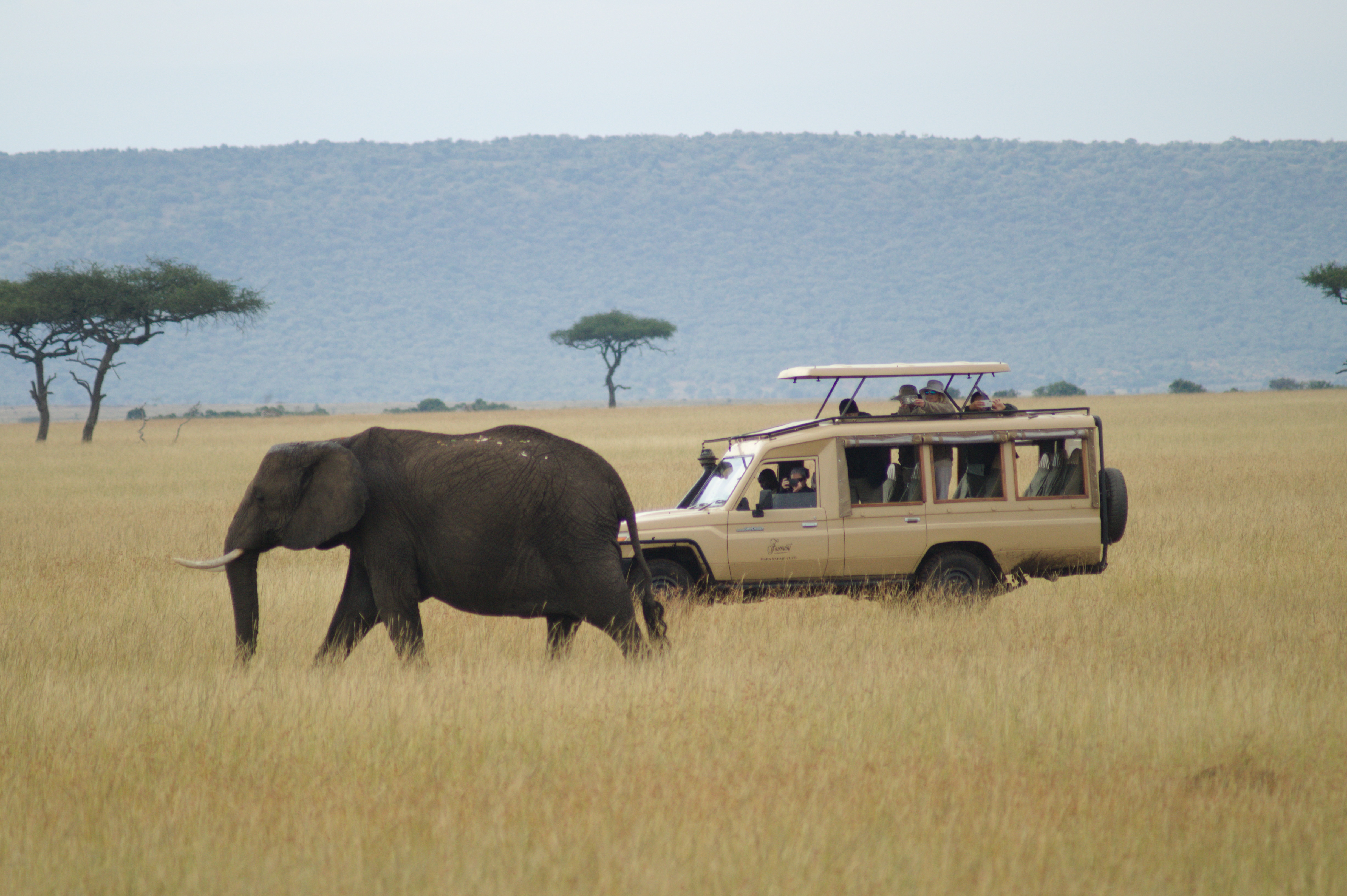 86c193b5-46b3-4e50-b891-536b631e39e1