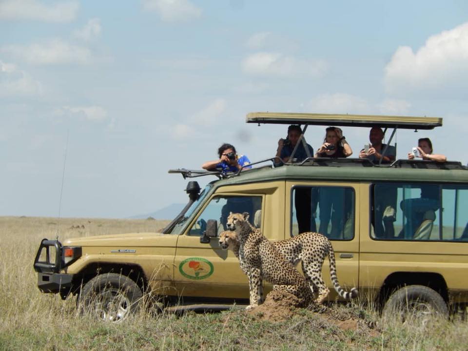 35264e11-fdb0-41b1-8d53-02901ab52232