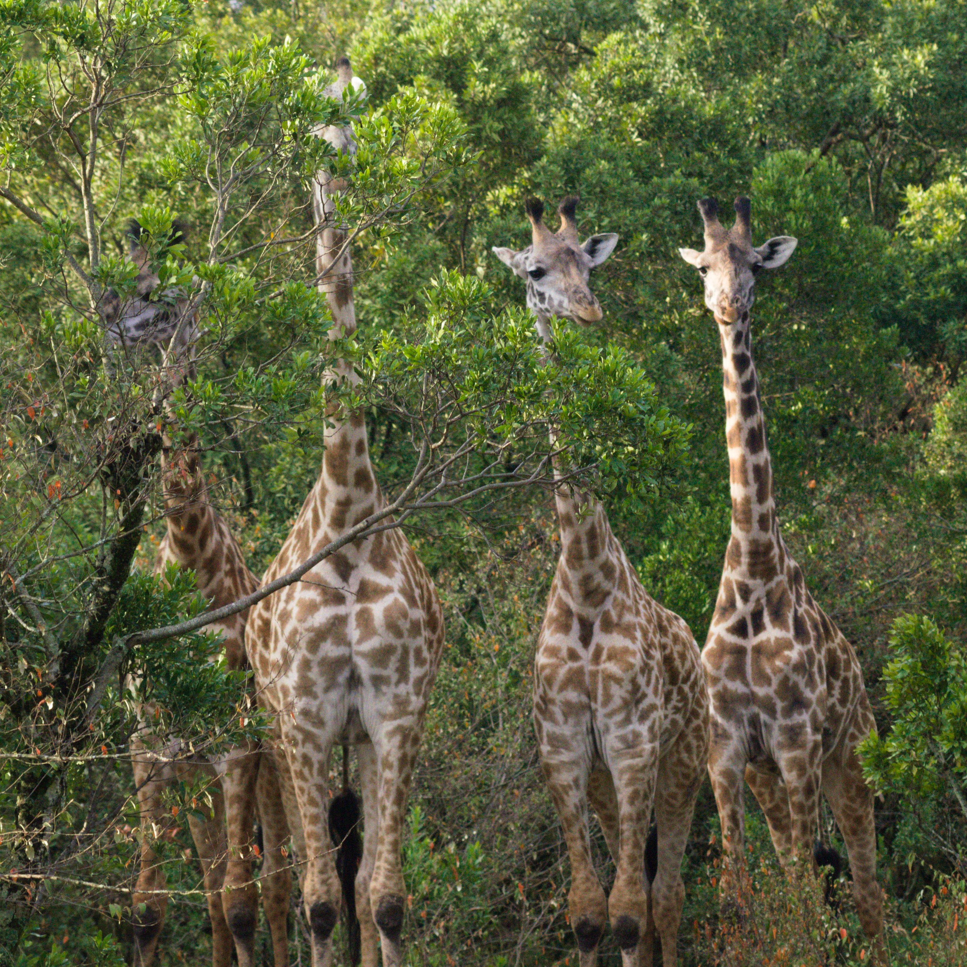 ce6ca1ba-7676-4ed2-882d-a7bbb0c3d917