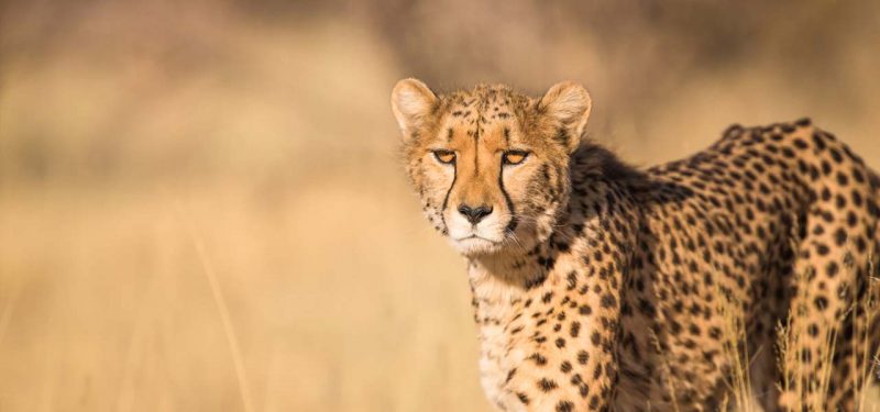 9528939d-8363-4445-8382-aca226d536e5