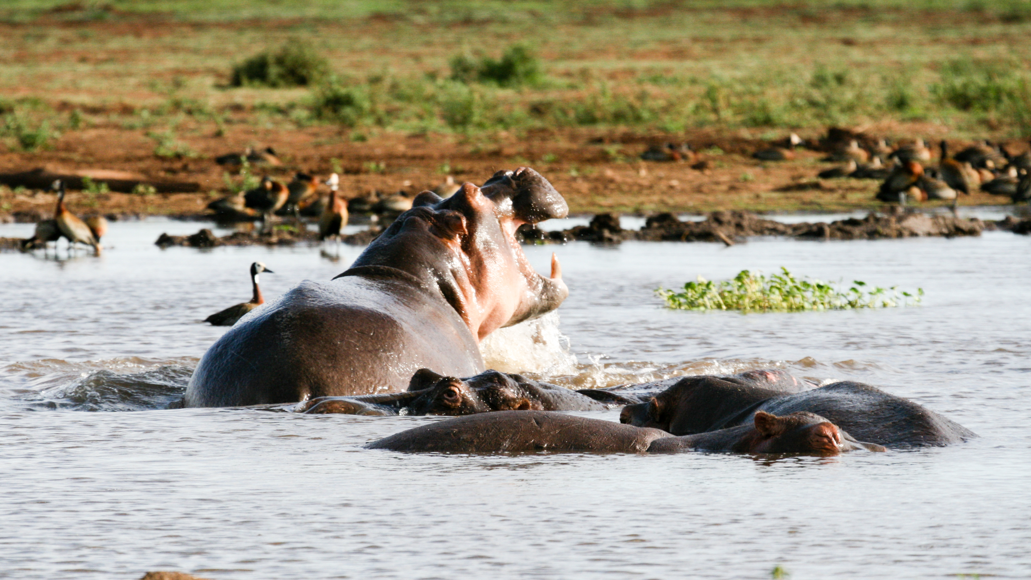 4e298952-9eff-4397-bad3-7a1a3c908fe5