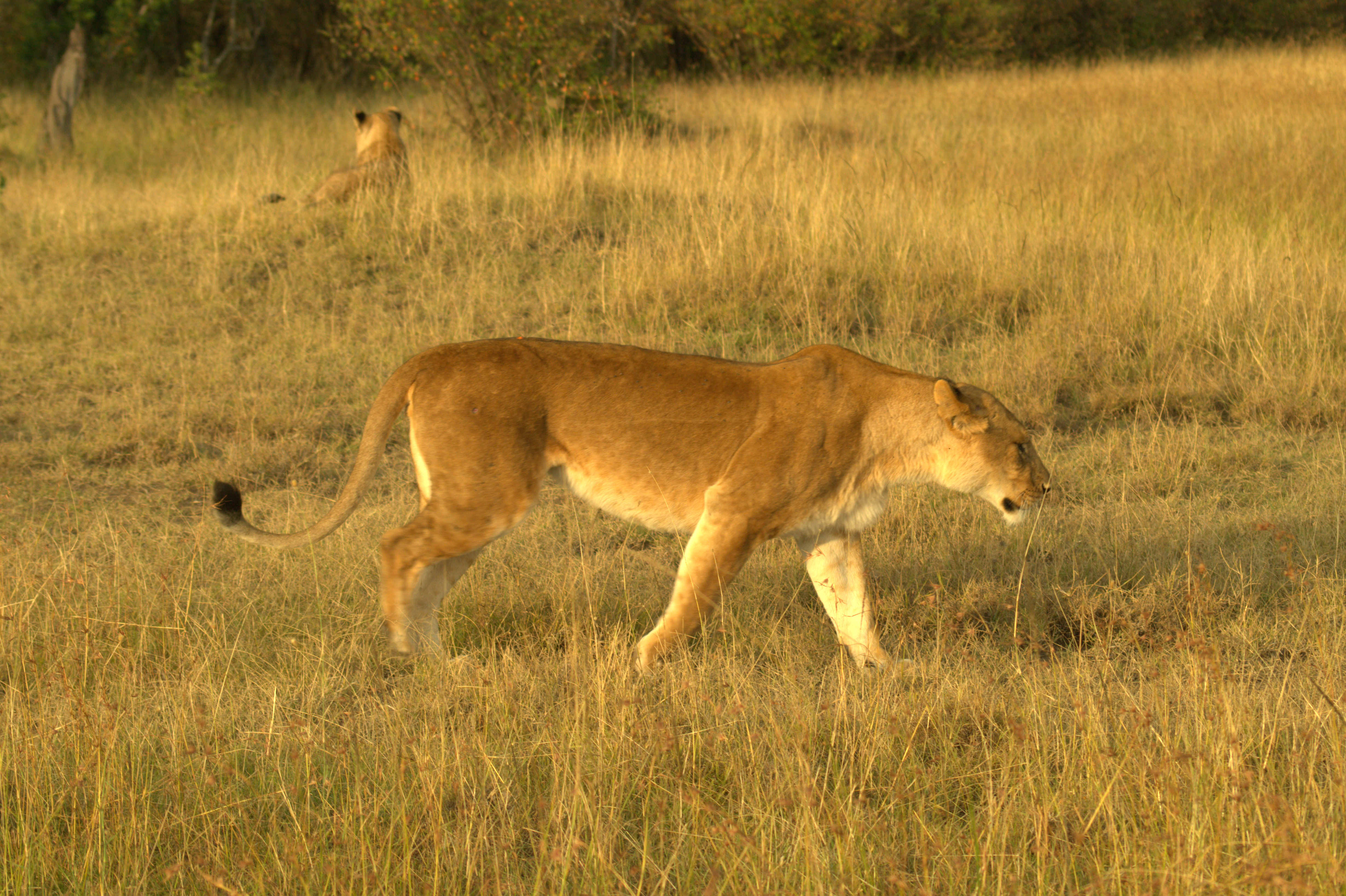 bc2cc5a5-773d-40a3-a3f1-600eaa5ff79c