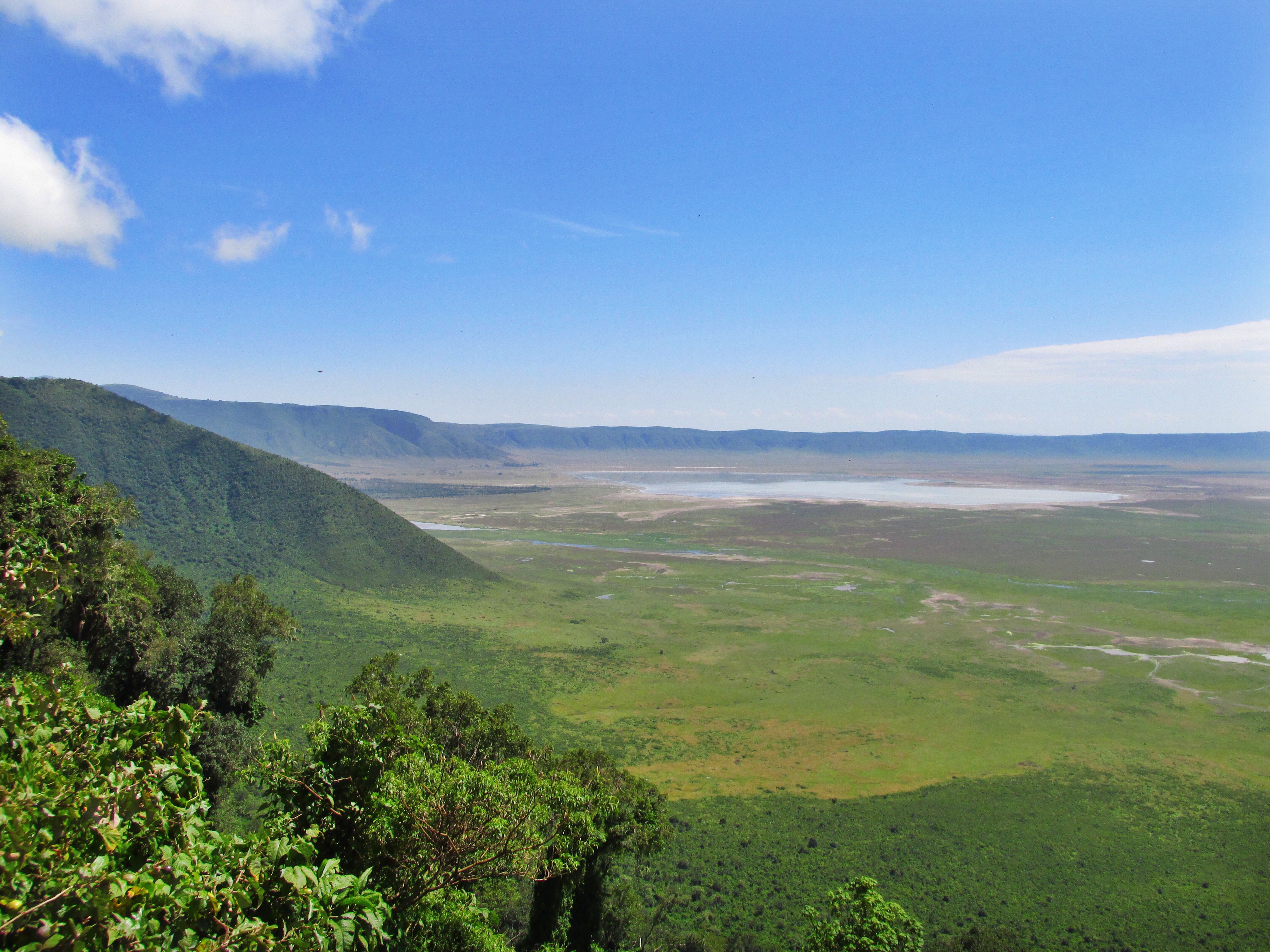 08c5a868-a92a-4fc0-91df-017a1e27baf5