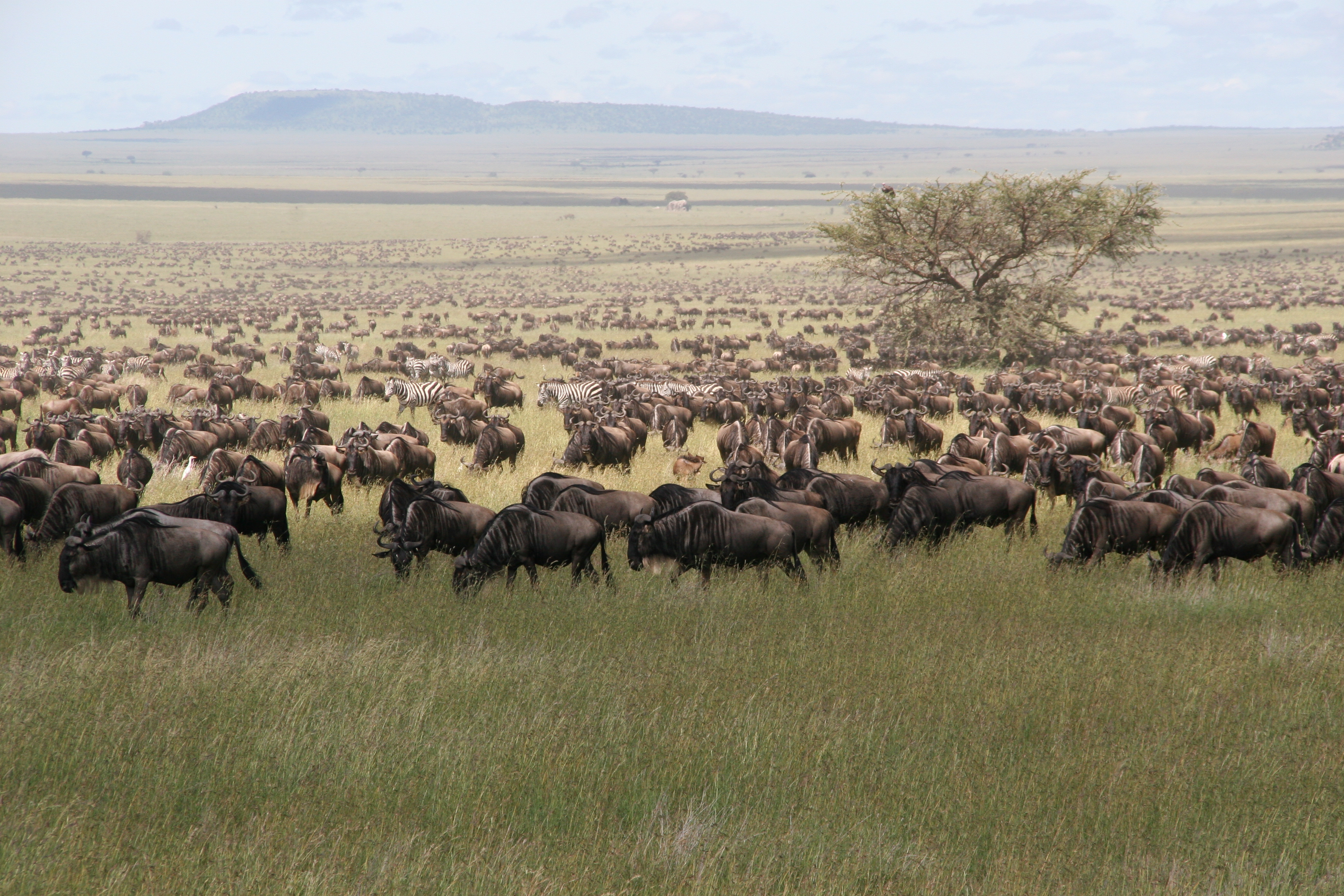 c8f95ac5-211d-4f86-bd97-9c31f0b290d2