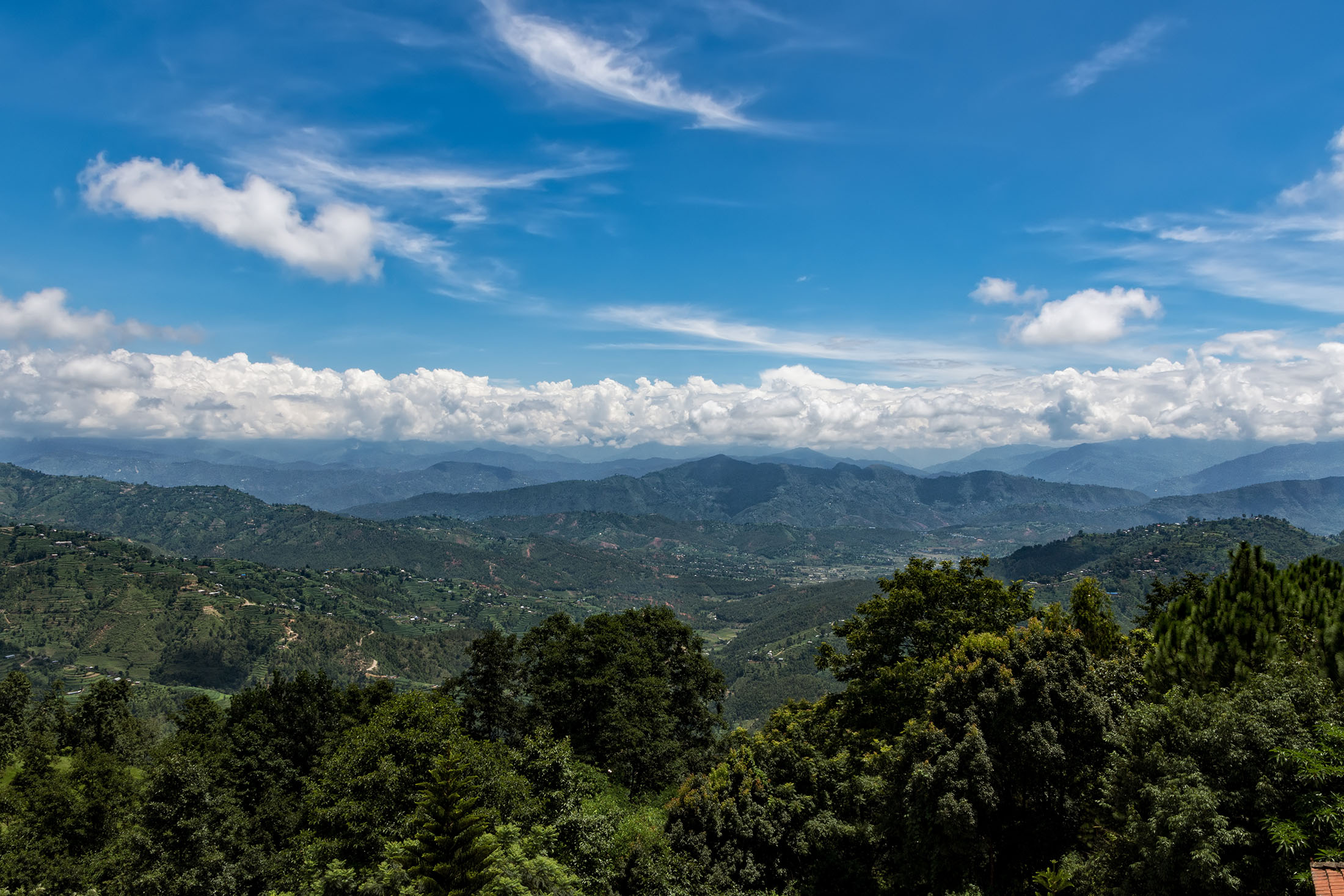 image_AQJF63RSCFF5M4CJ