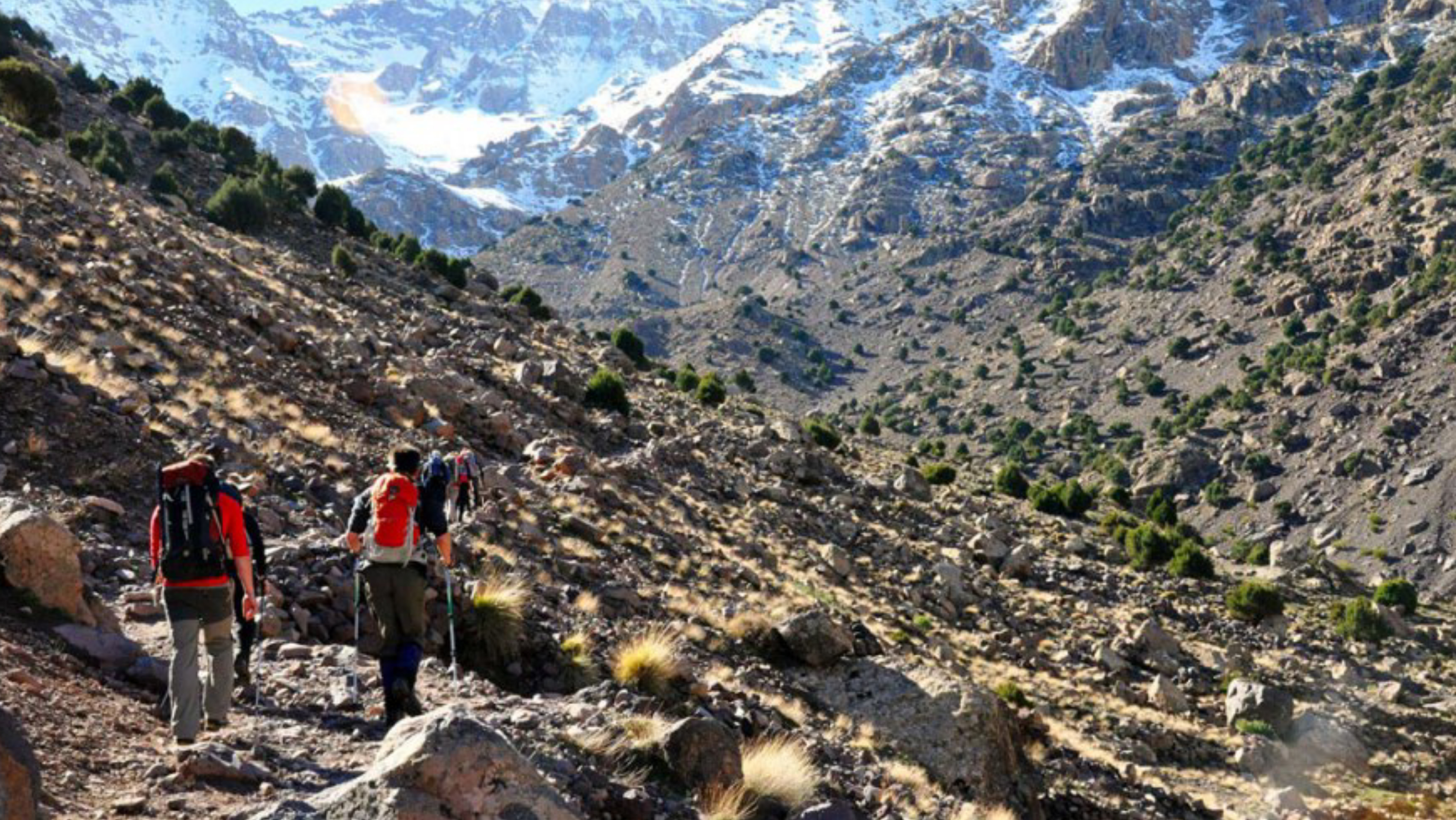 image_9GHM3FHX63S5VRC4