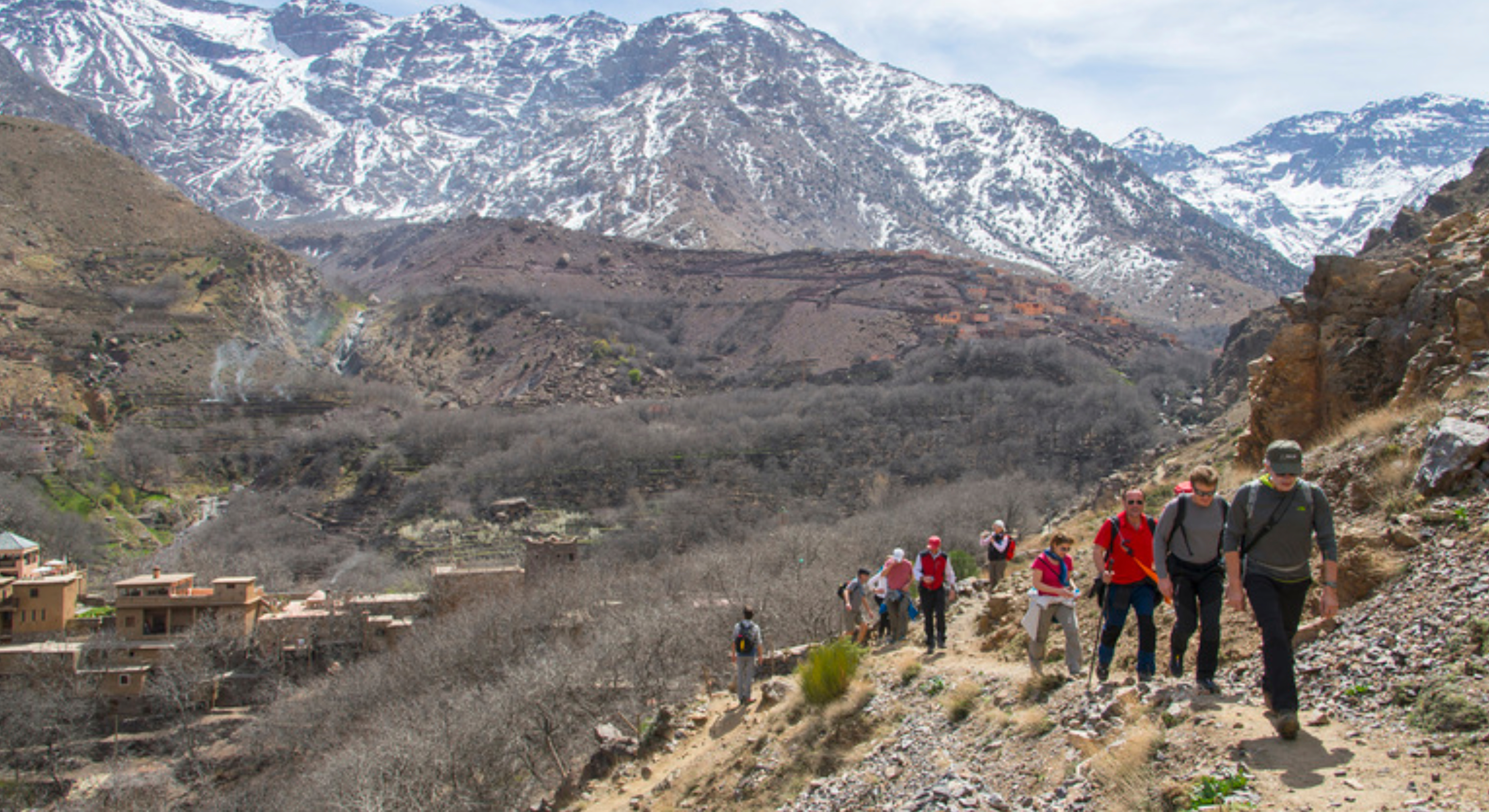 image_W2EN5UT8BZJFXLC8