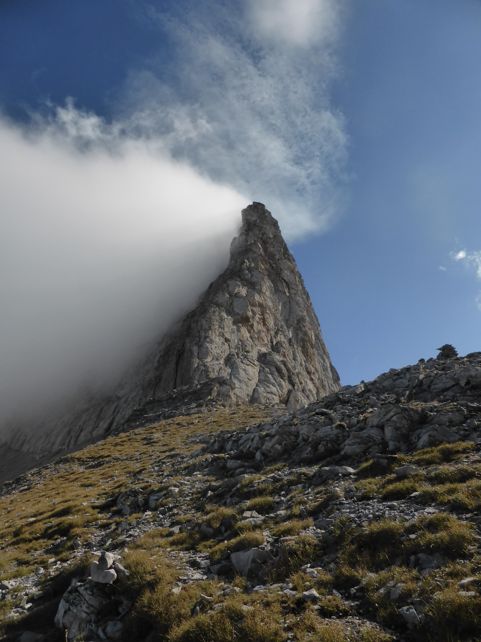 ce858d9a-1b51-4208-b7d4-76aaf3de67fd