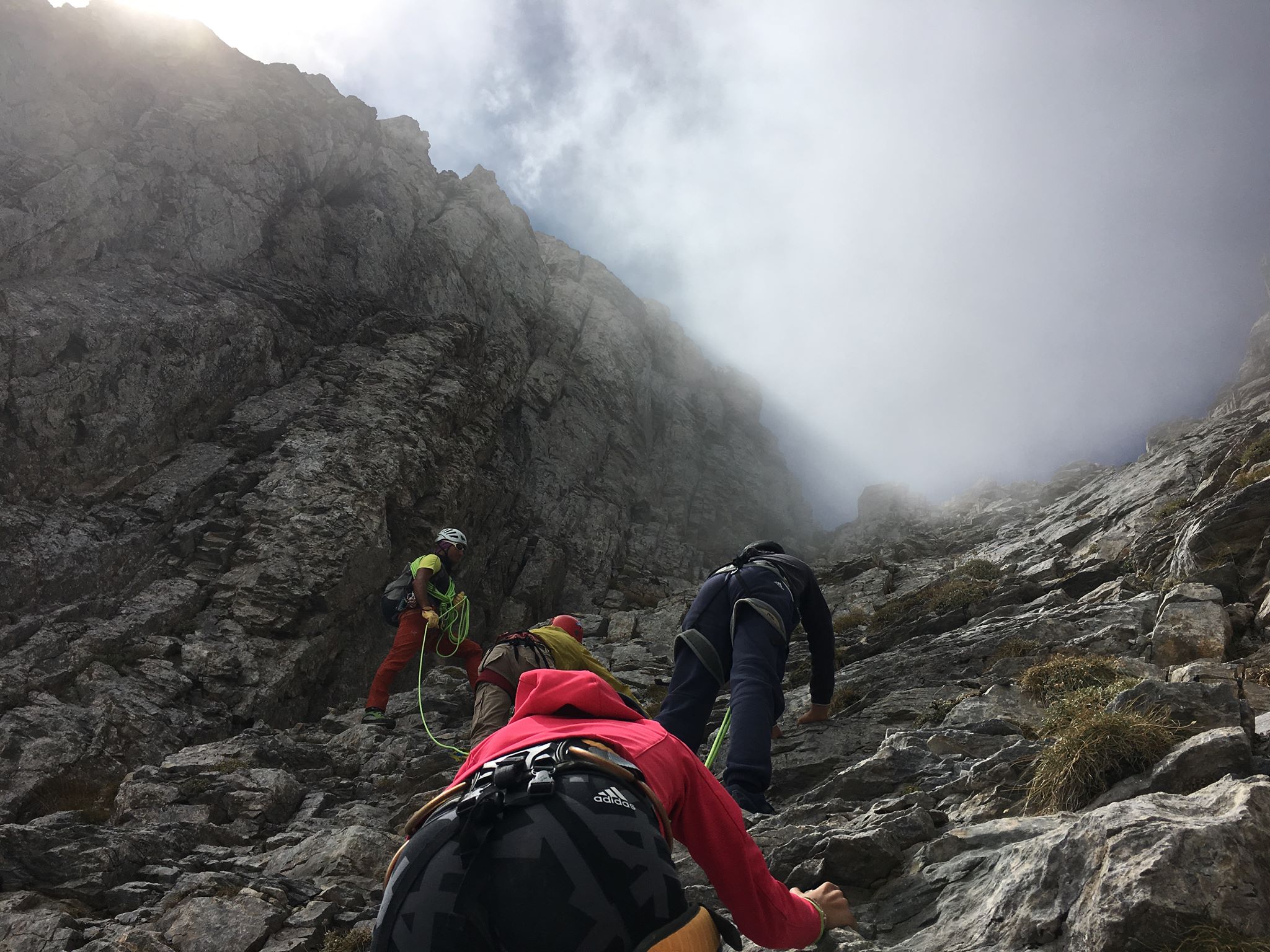 369a170a-b21b-473c-9aac-da3cc13c3690