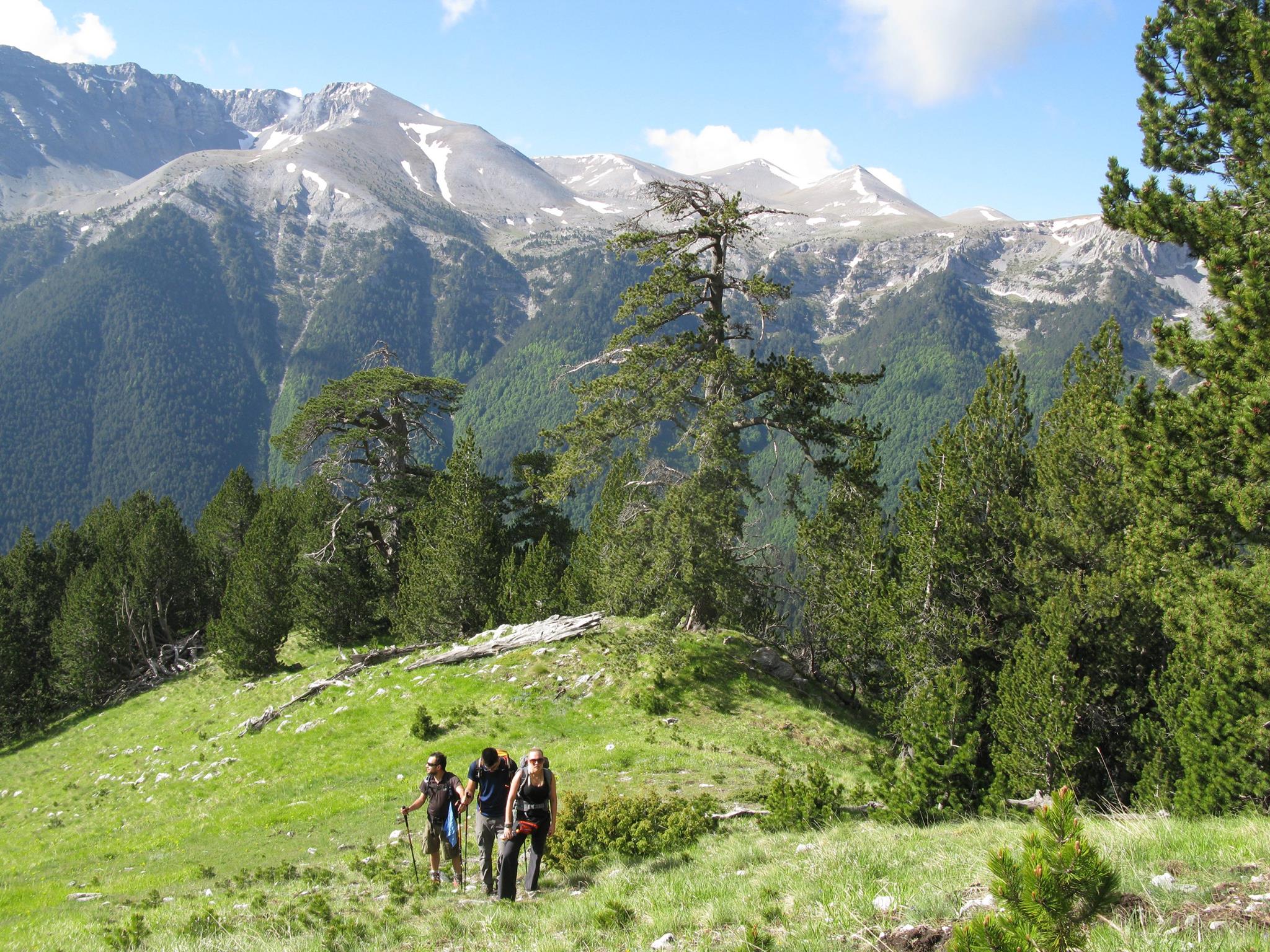 e70cfd6f-074f-4bca-8dc2-c7f59bc8756e