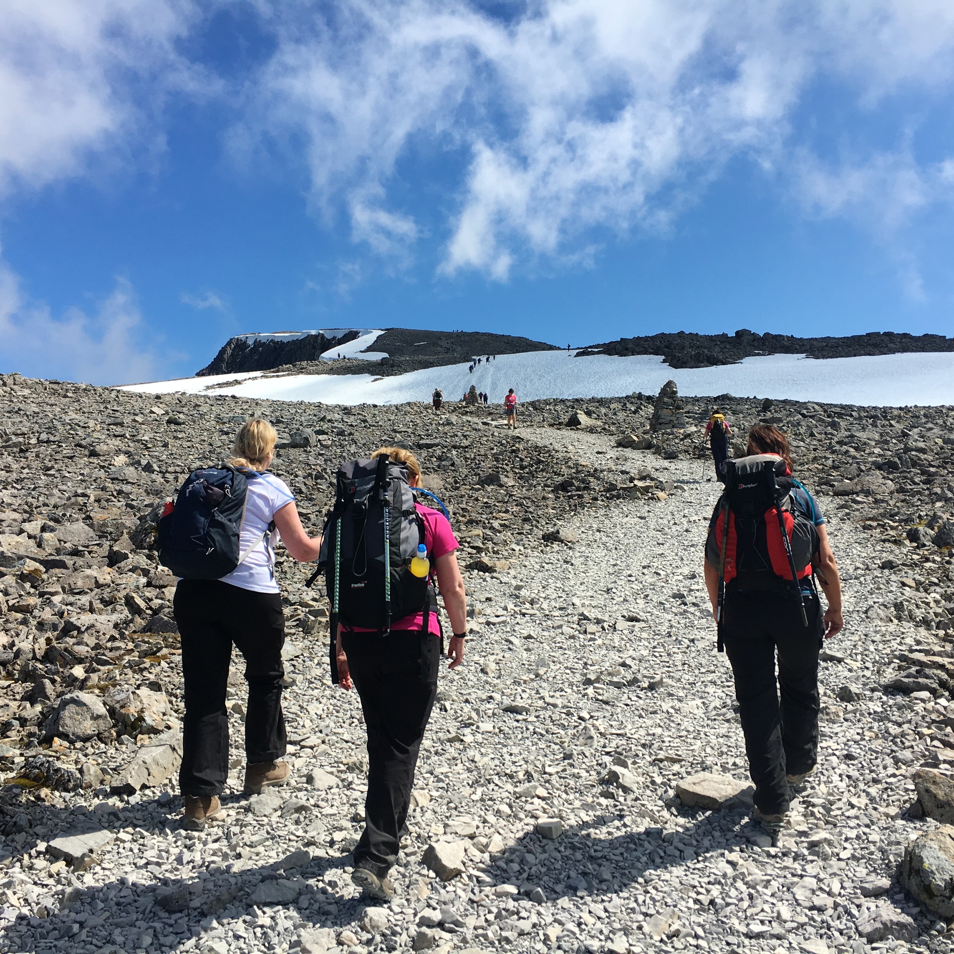 image_77TVWMAZKC49NGMT