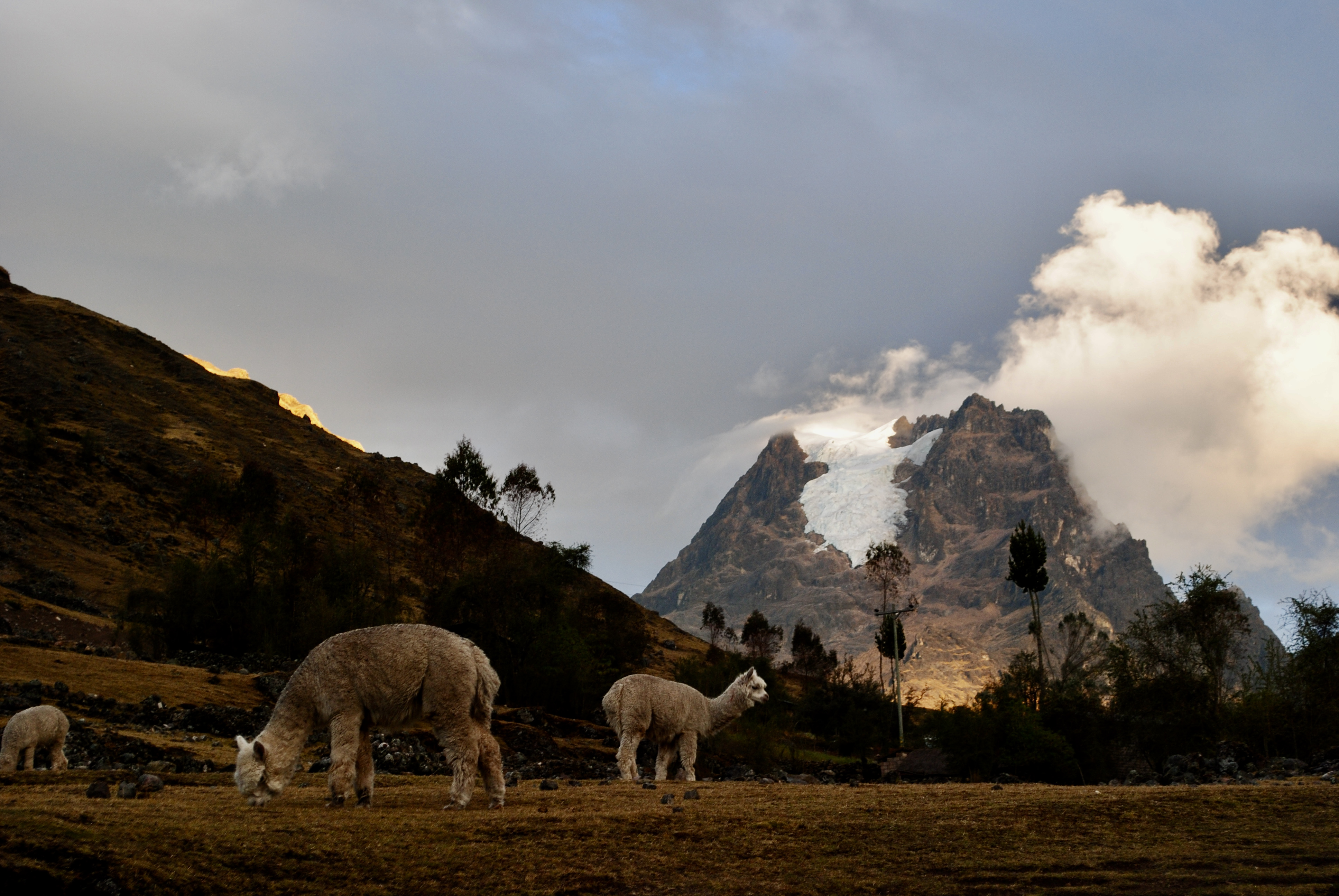 image_2SJHT6KLCC2S86KL