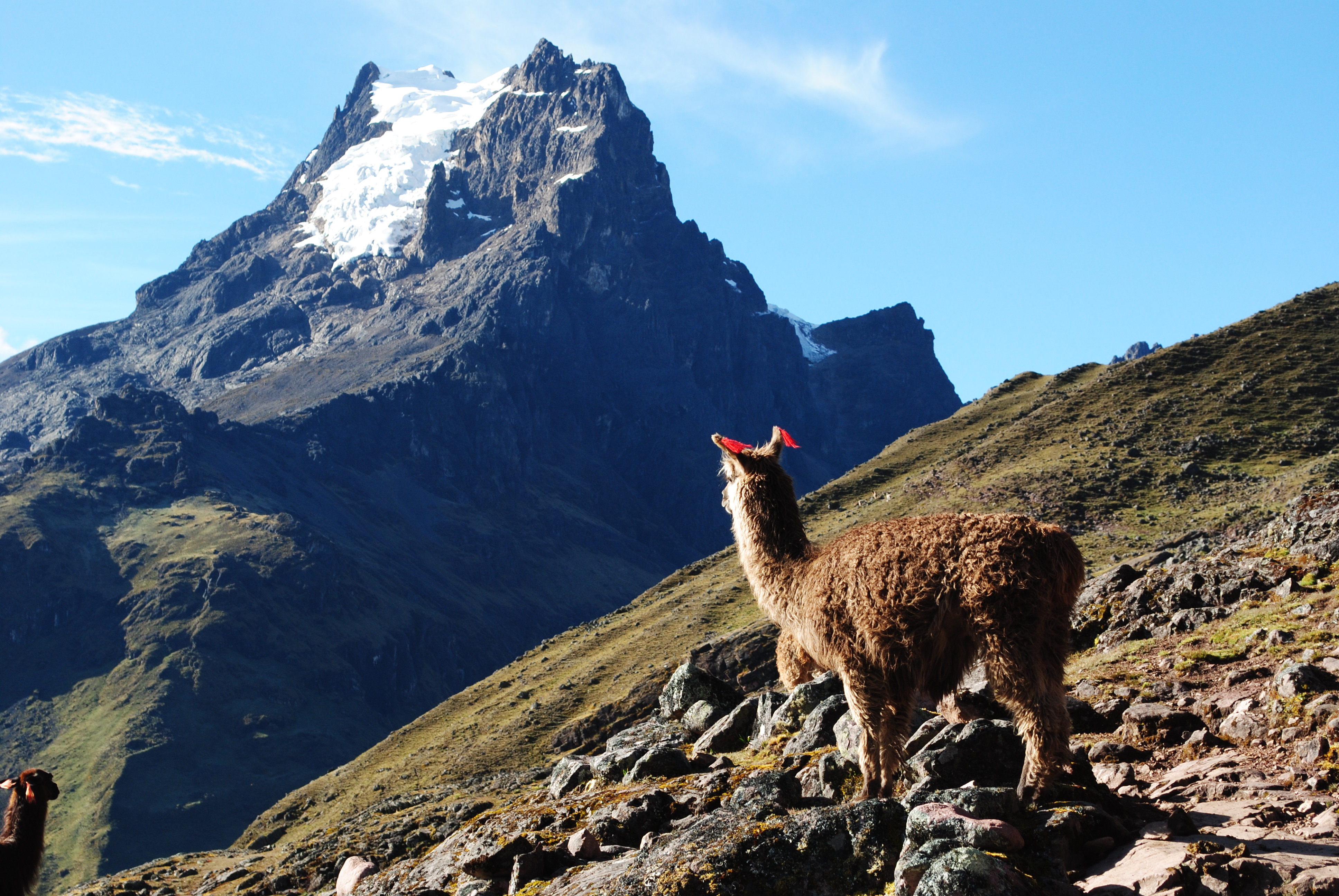 image_E6DFHDCBEC4WWYWC